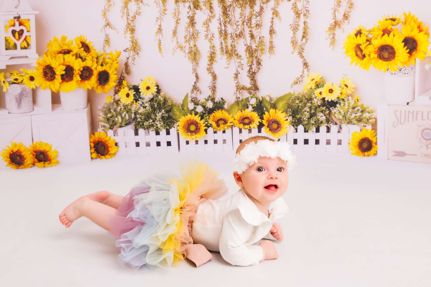 Baby photography in Perth ultimate