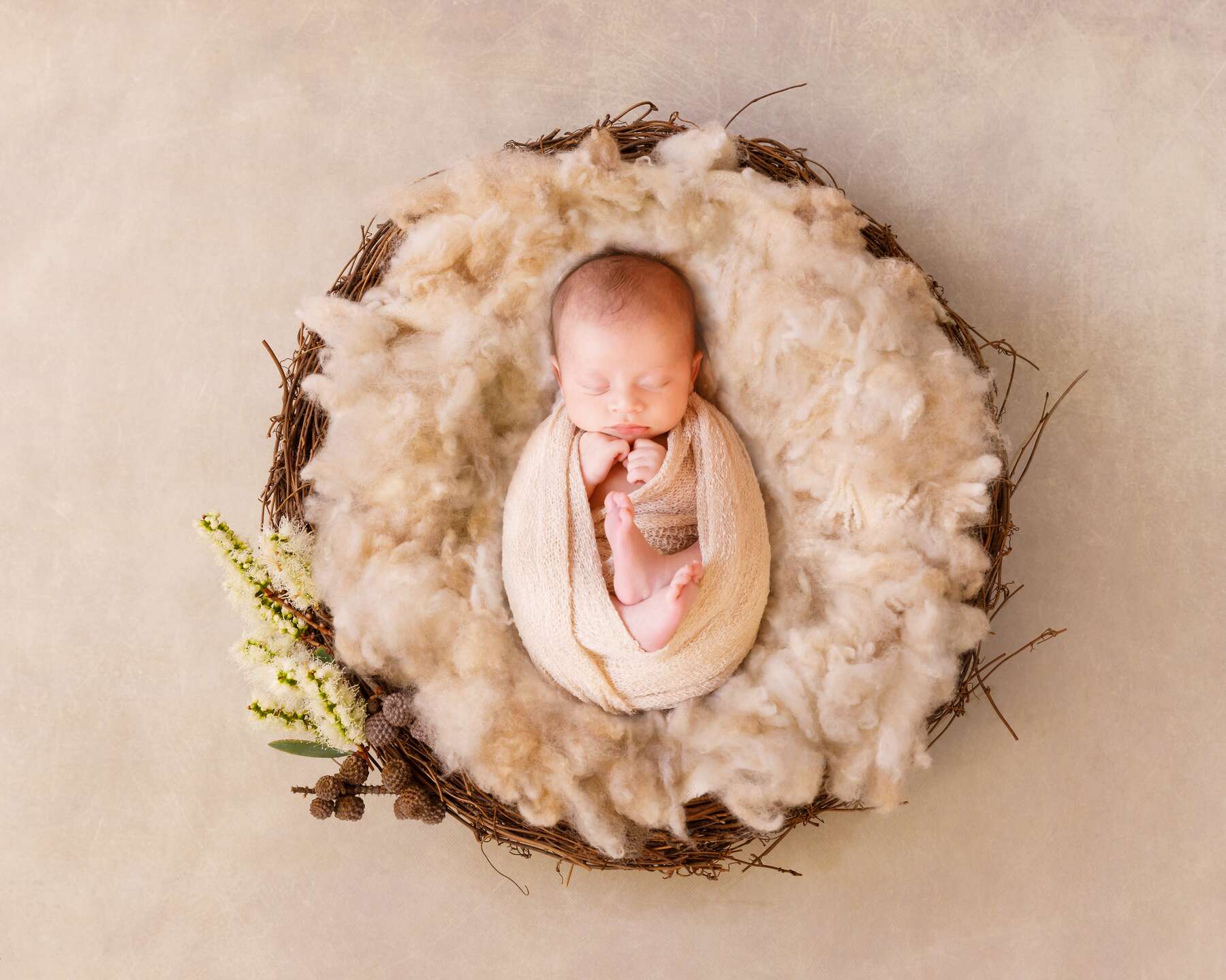 Newborn photography in Perth ultimate