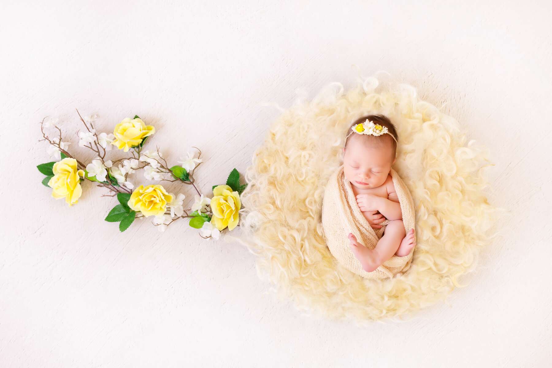 Newborn photography in Perth ultimate