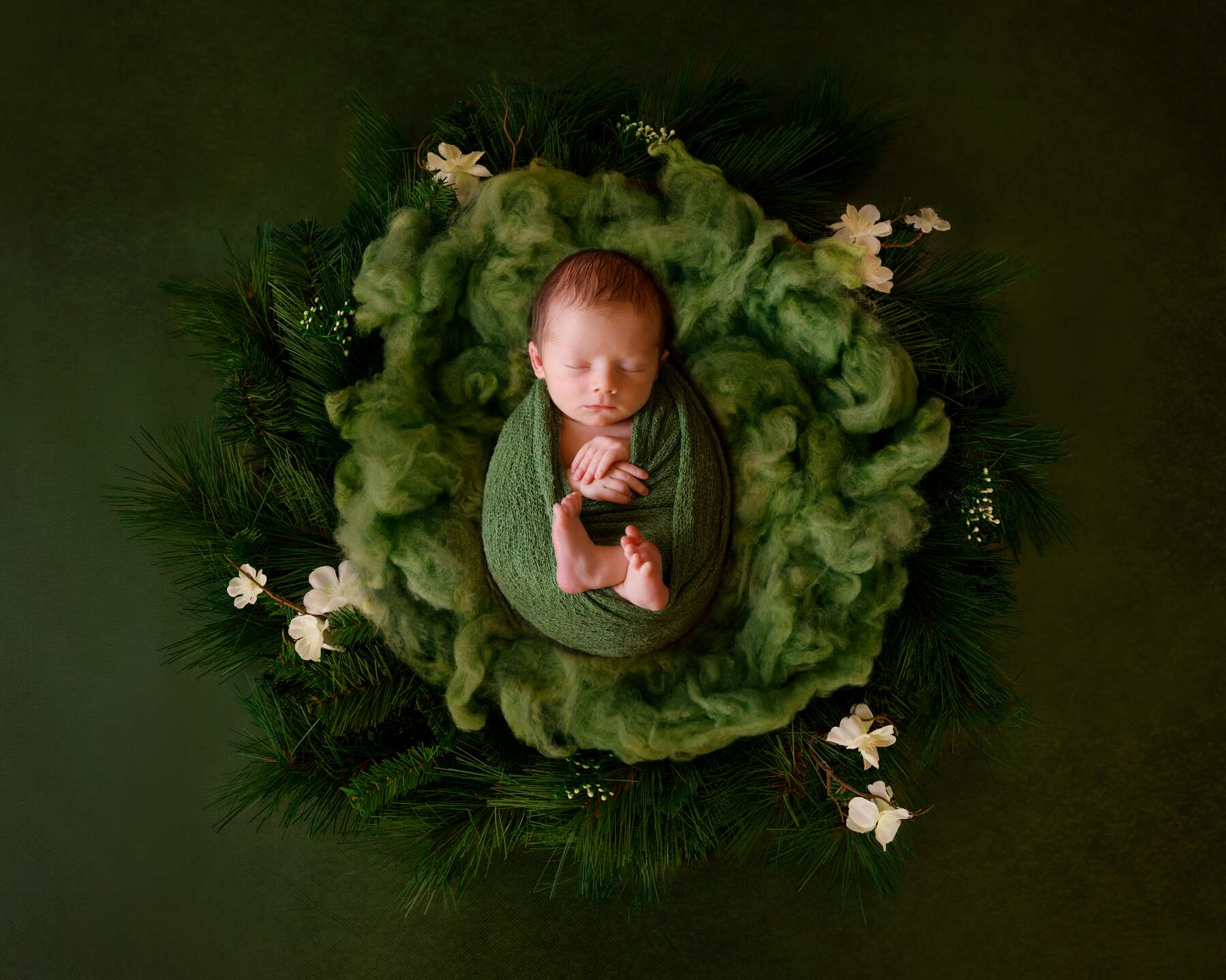 Newborn photography in Perth ultimate