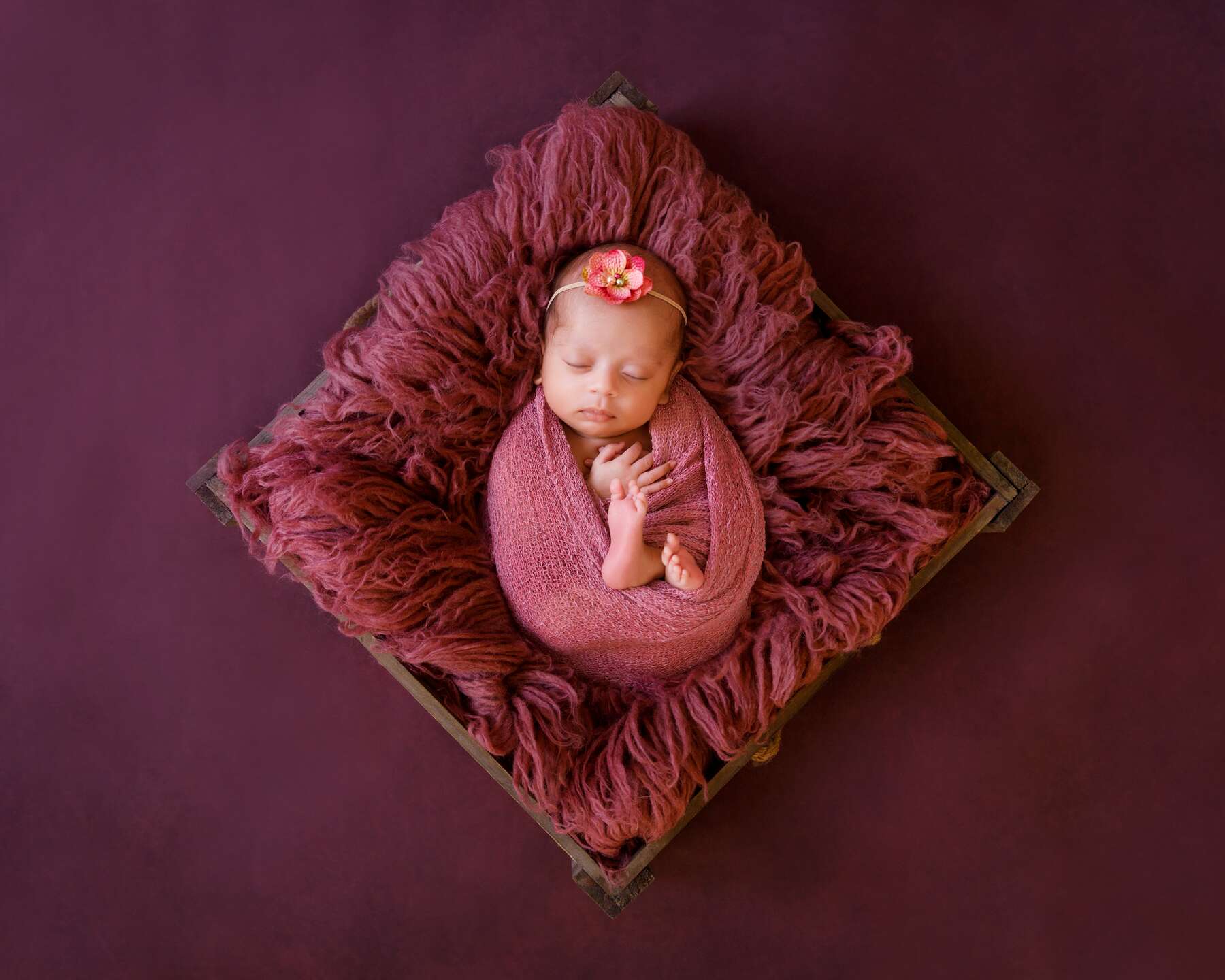 Newborn photography in Perth ultimate