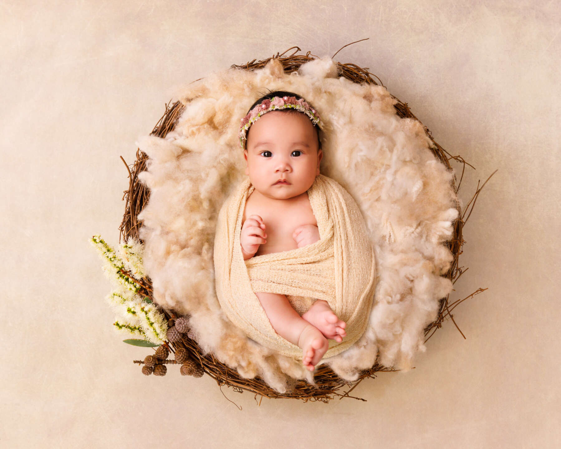 Recent newborn session in Perth