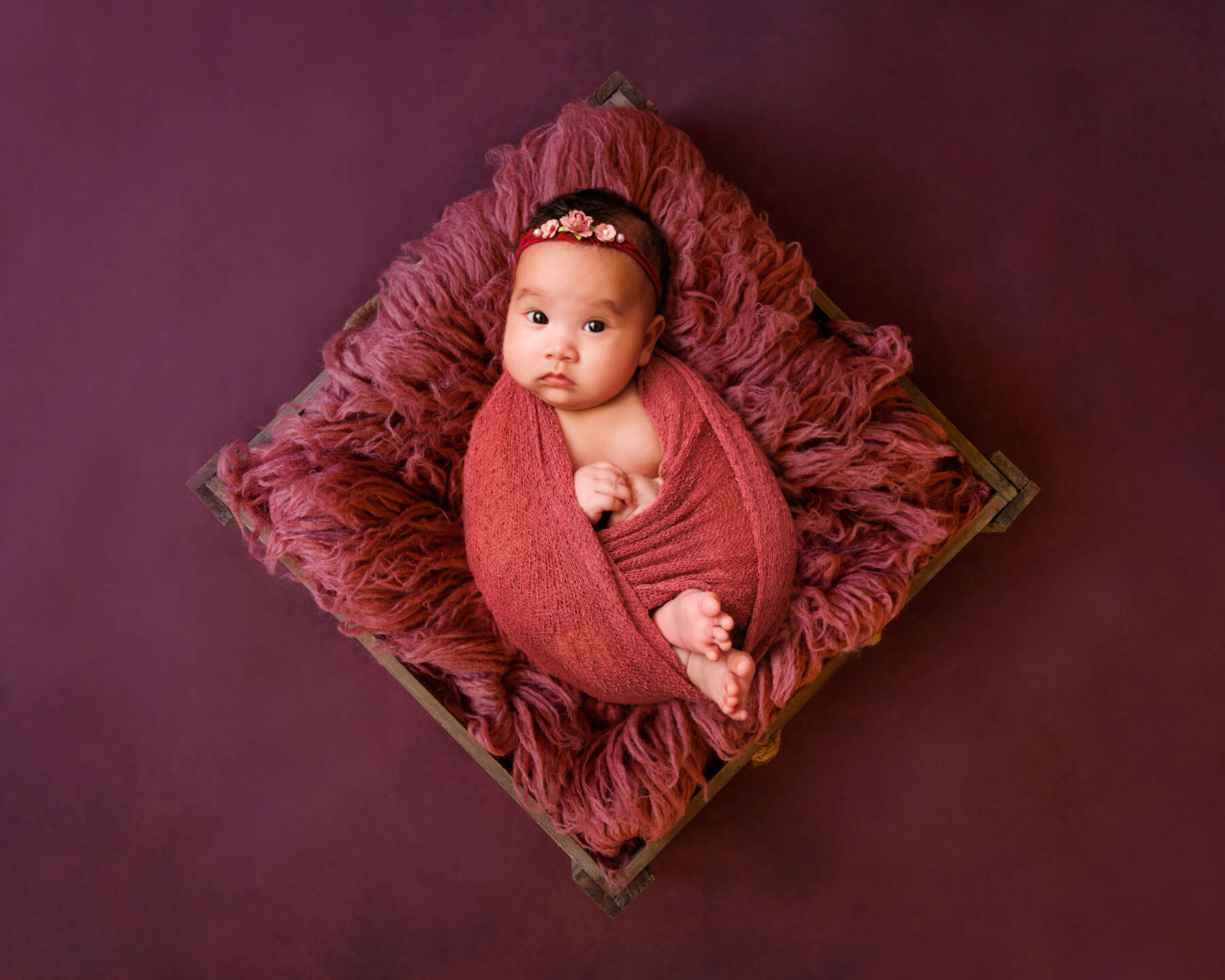 Recent newborn session in Perth