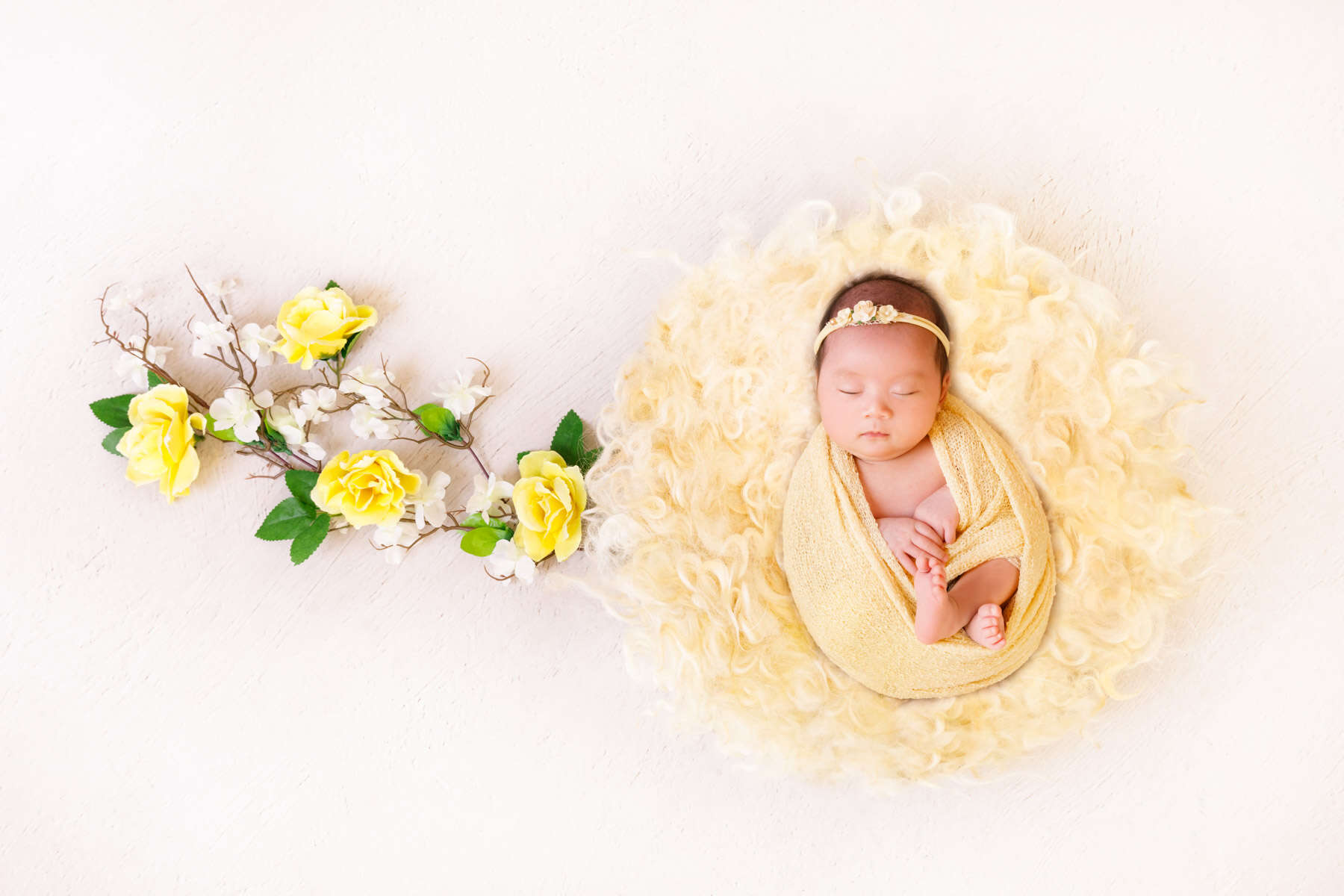 Recent newborn session in Perth