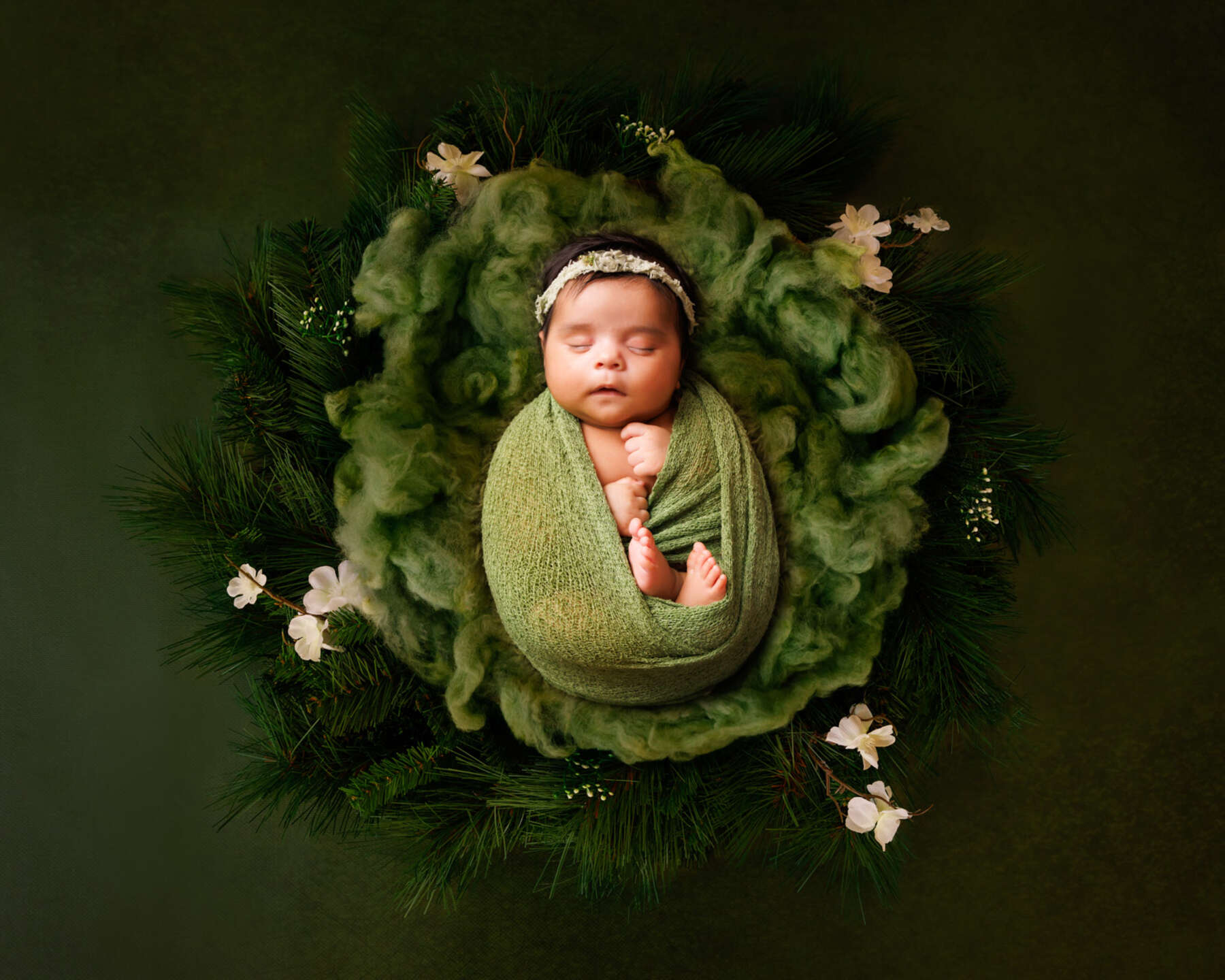 Recent newborn session in Perth