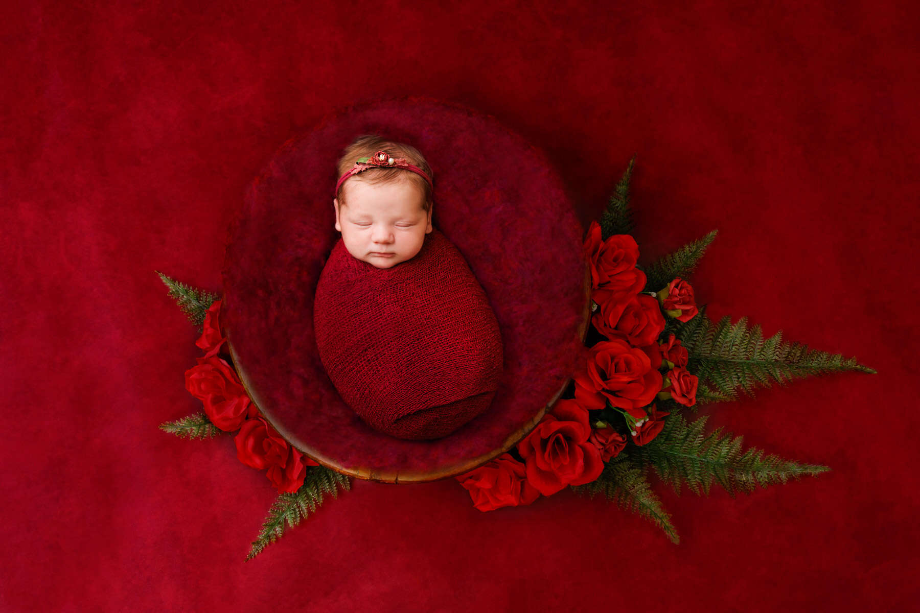 Recent newborn session in Perth