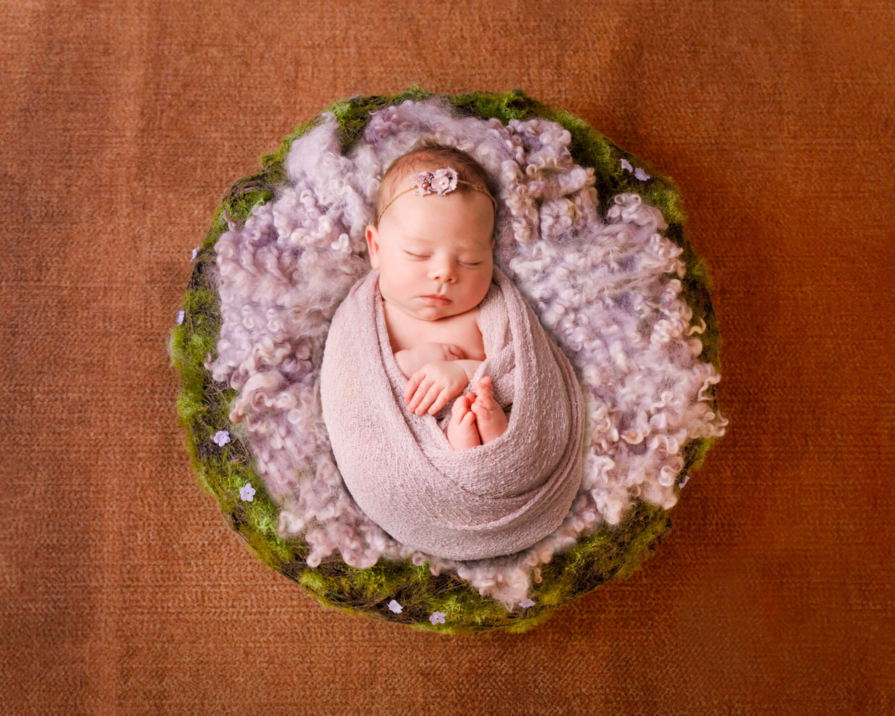 Recent newborn session in Perth