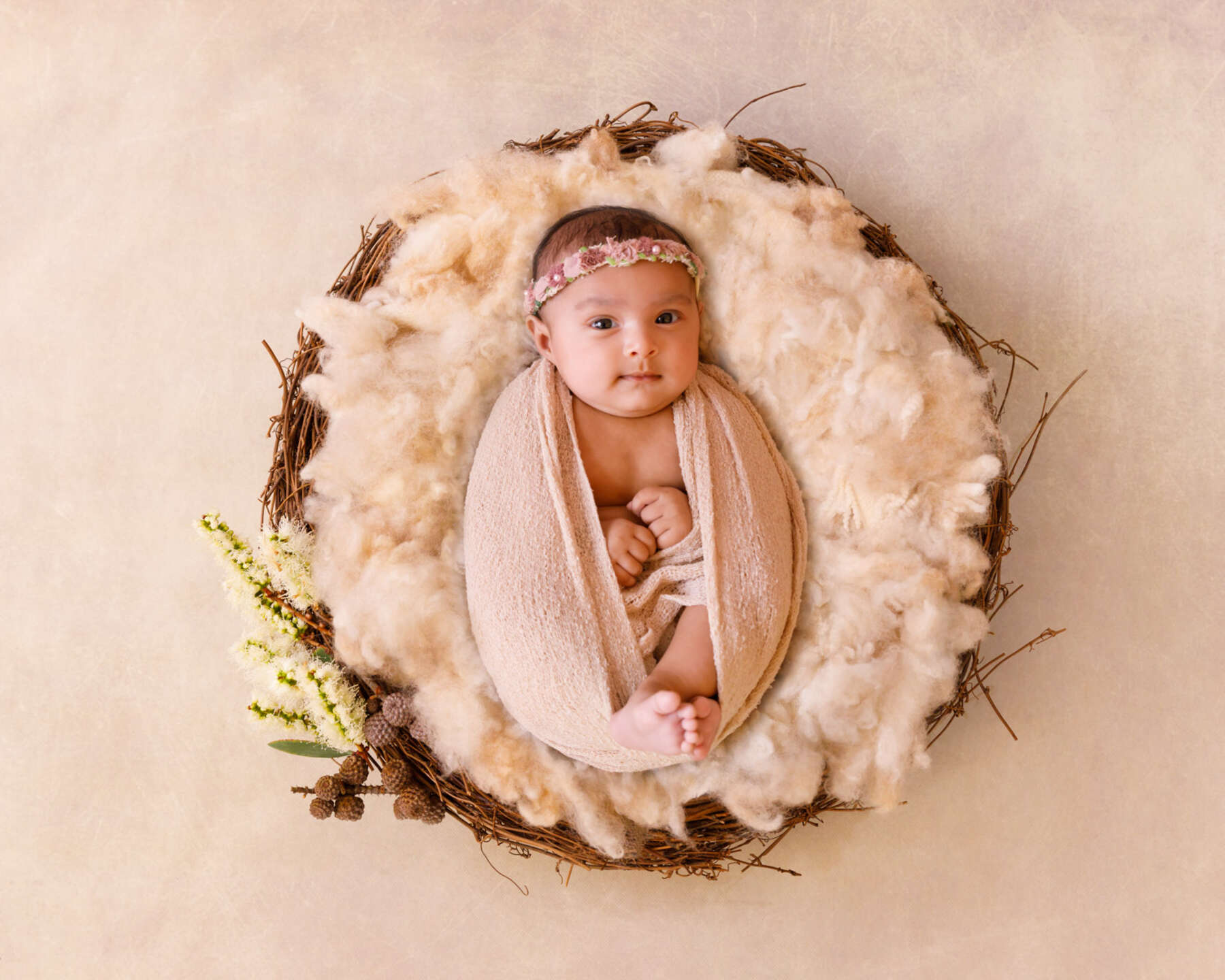 Recent newborn session in Perth