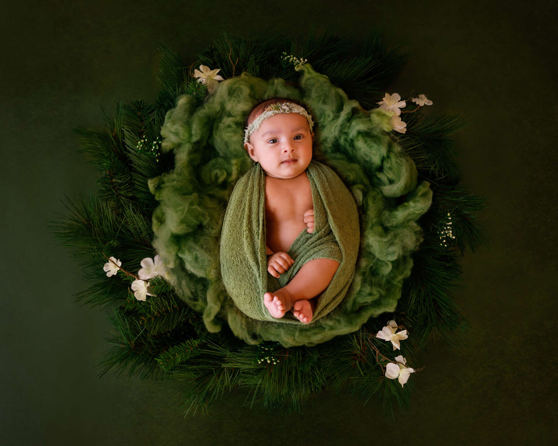 Recent newborn session in Perth