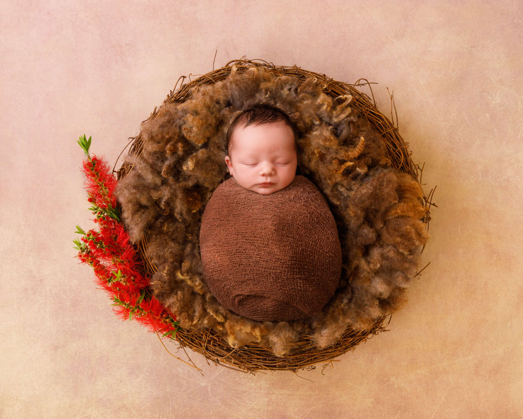 Recent newborn session in Perth