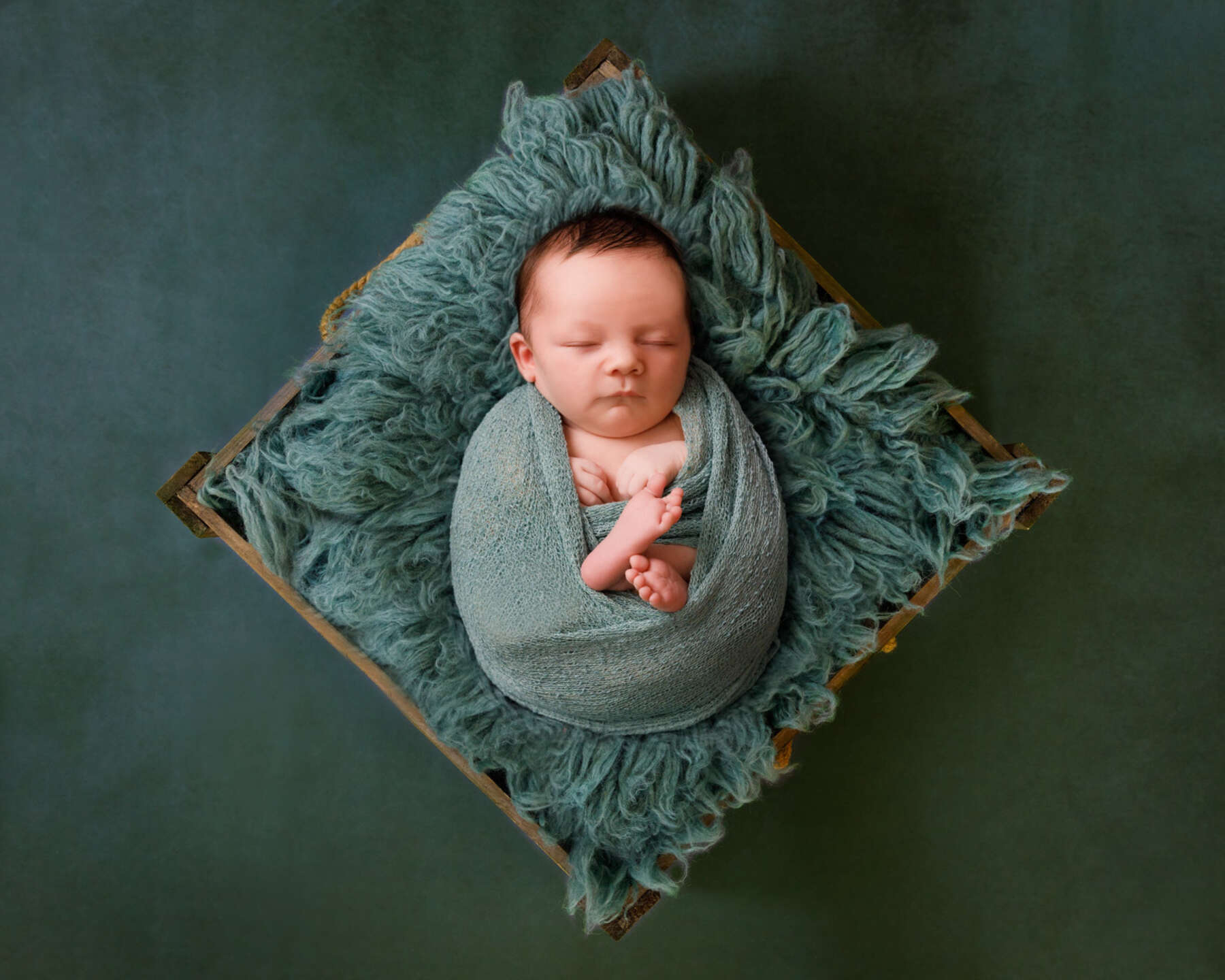 Recent newborn session in Perth