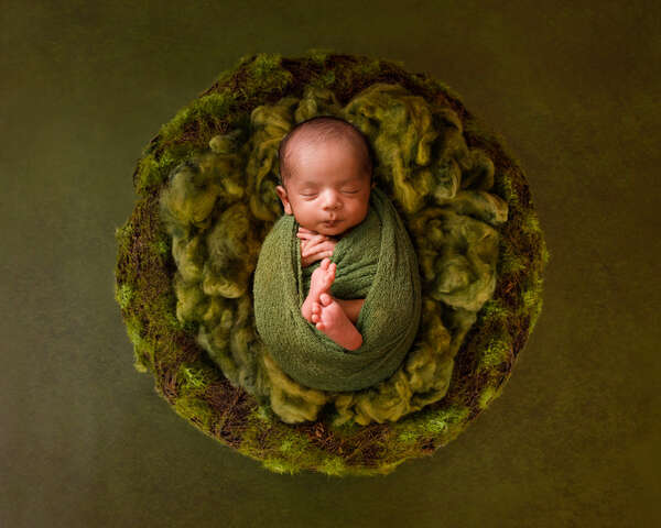 Recent newborn session in Perth
