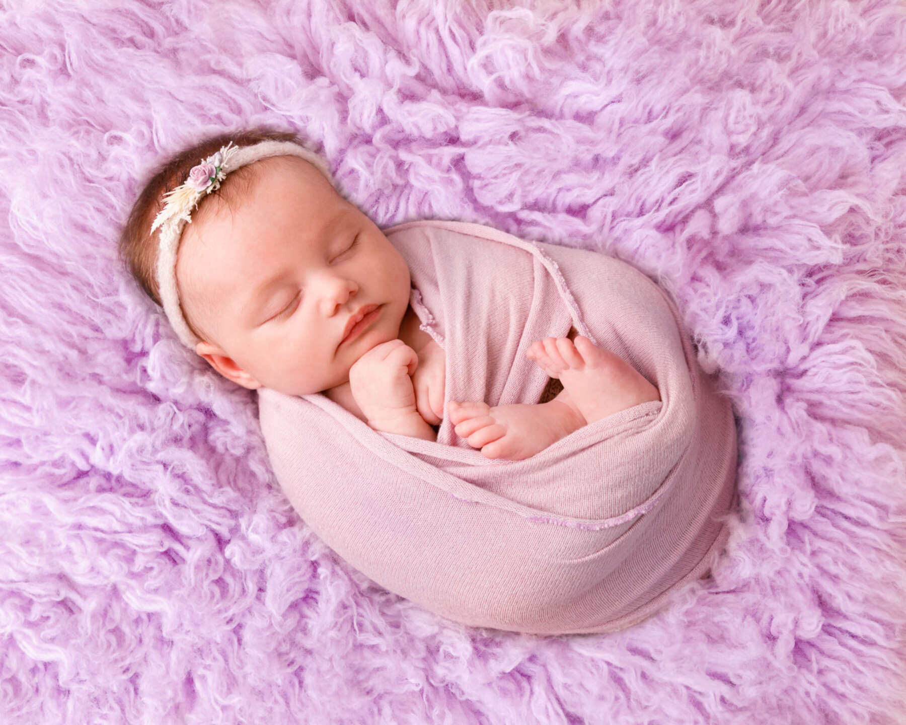 Recent newborn session in Perth