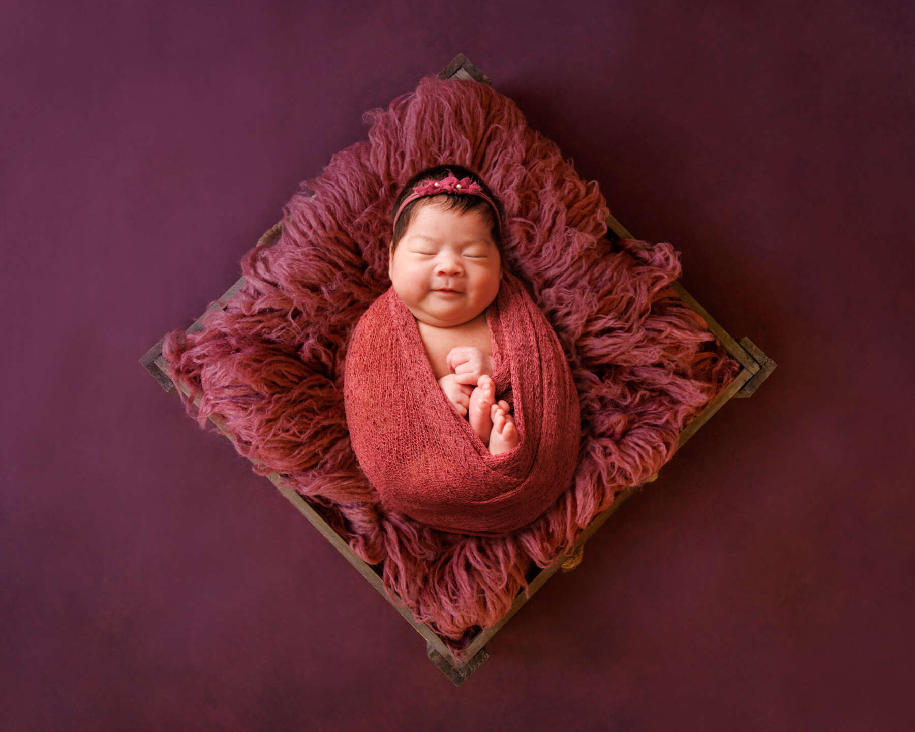 Recent newborn session in Perth