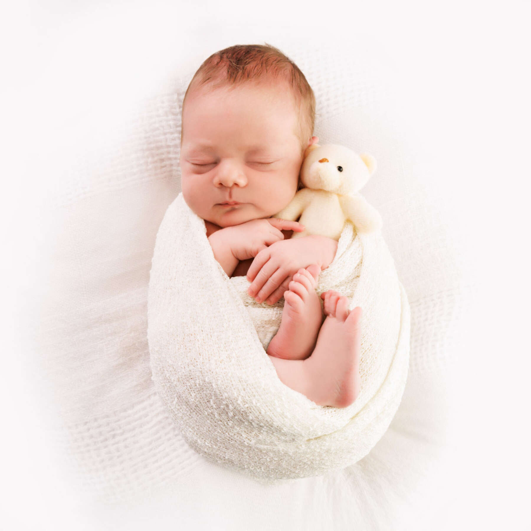 Recent newborn session in Perth