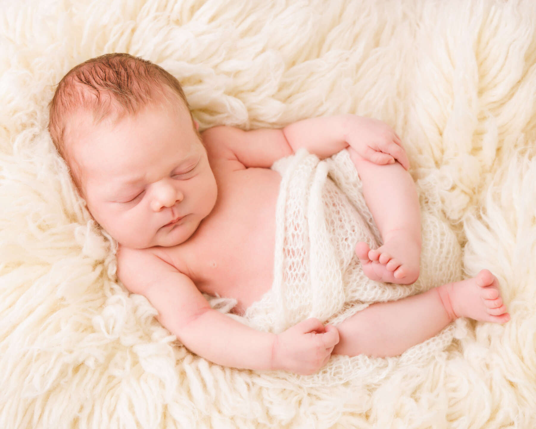 Recent newborn session in Perth