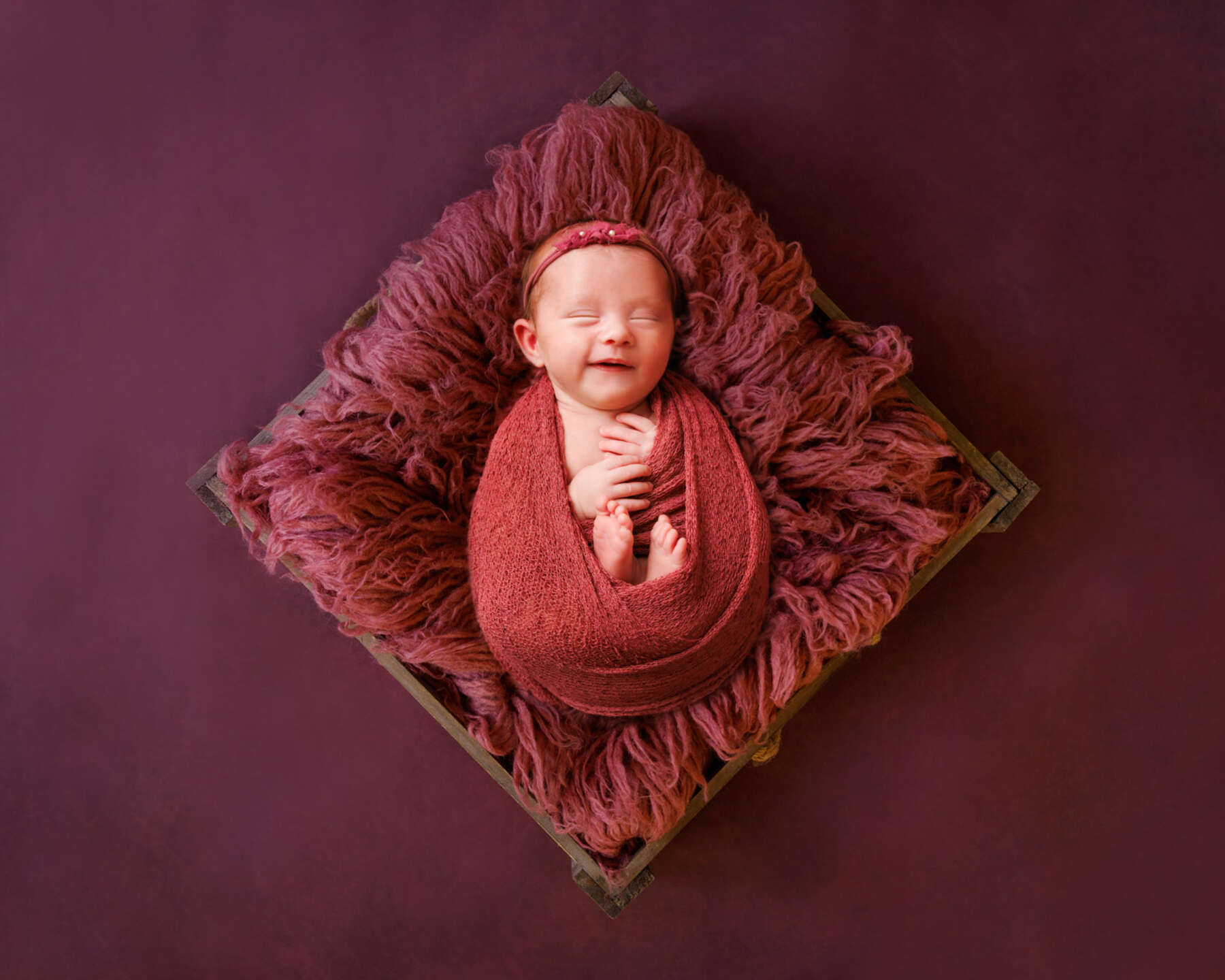 Recent newborn session in Perth