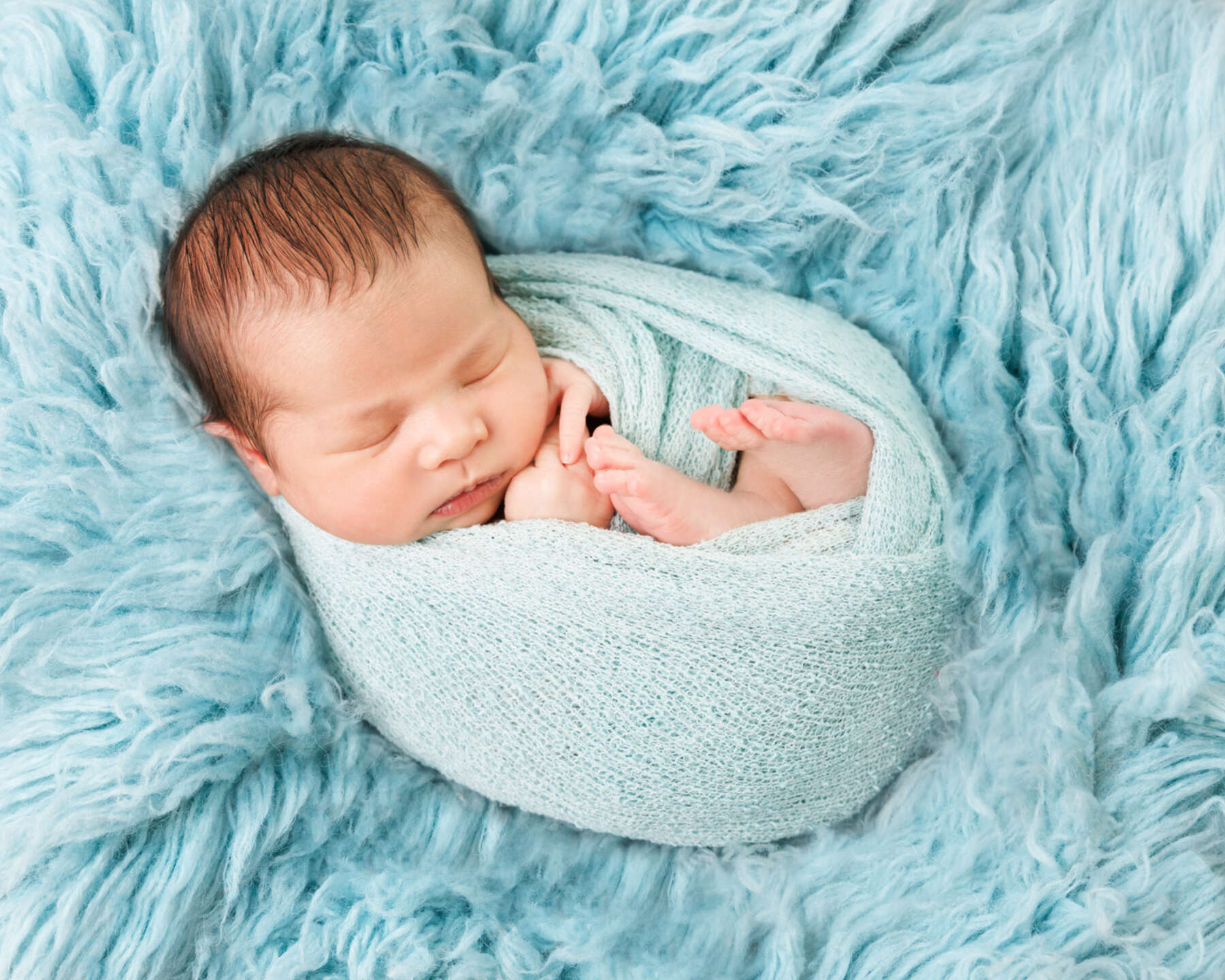 Recent newborn session in Perth