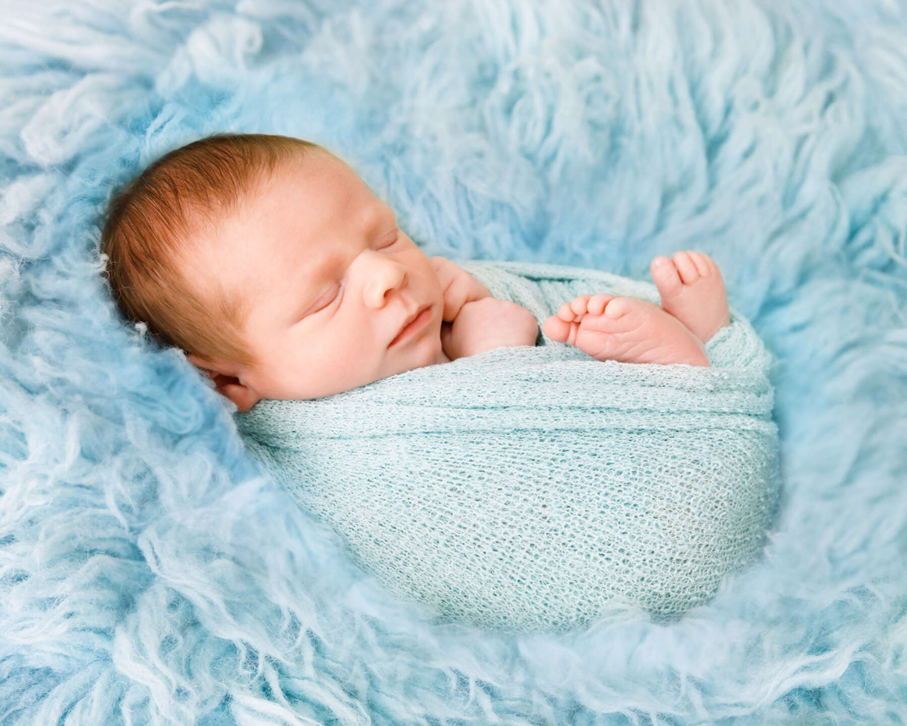 Recent newborn session in Perth