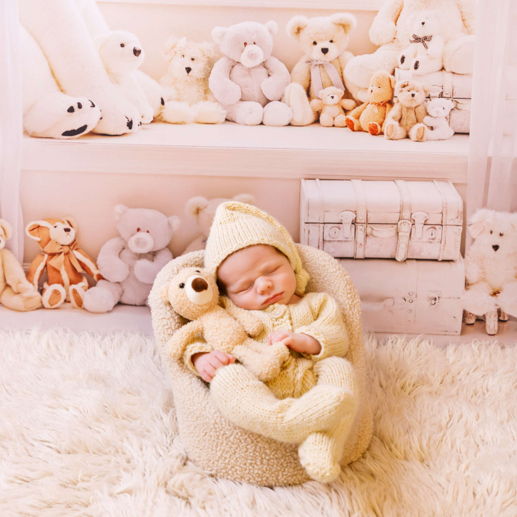 Recent newborn session in Perth