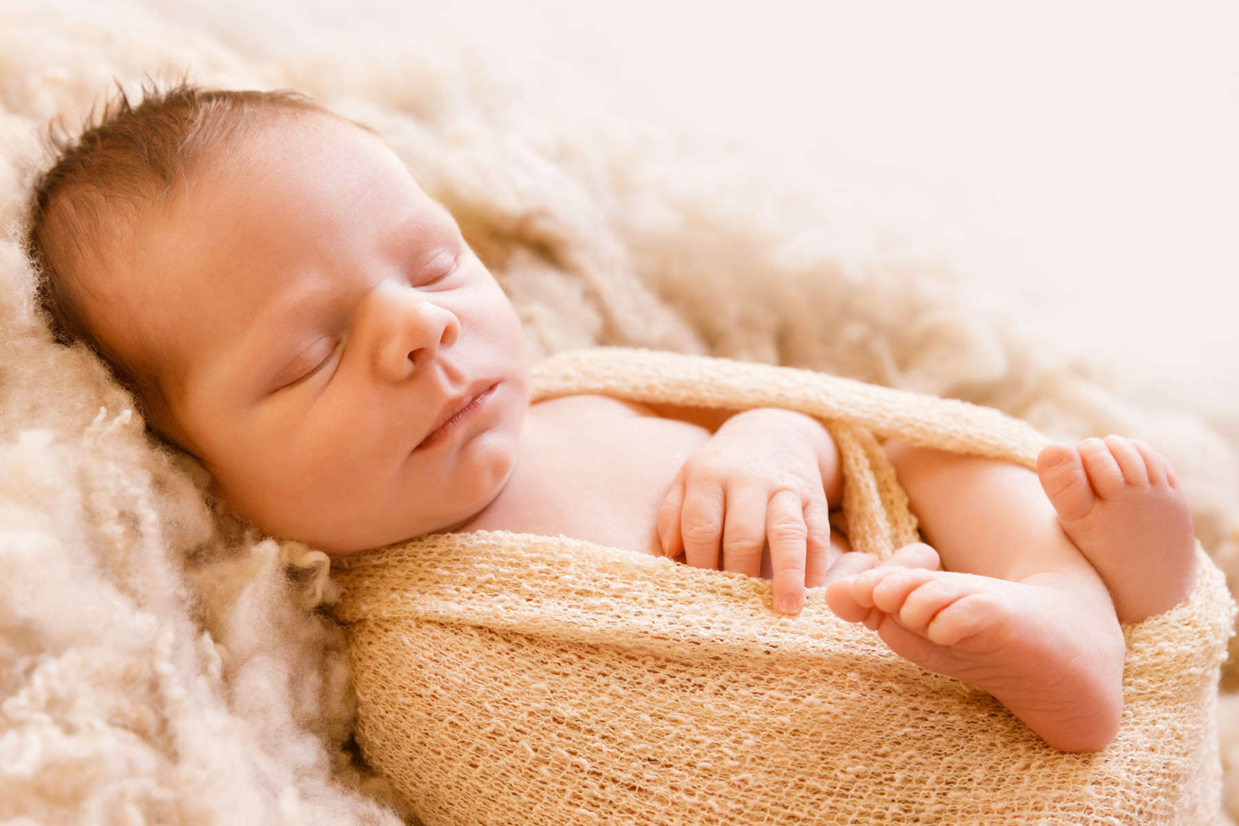 Recent newborn session in Perth