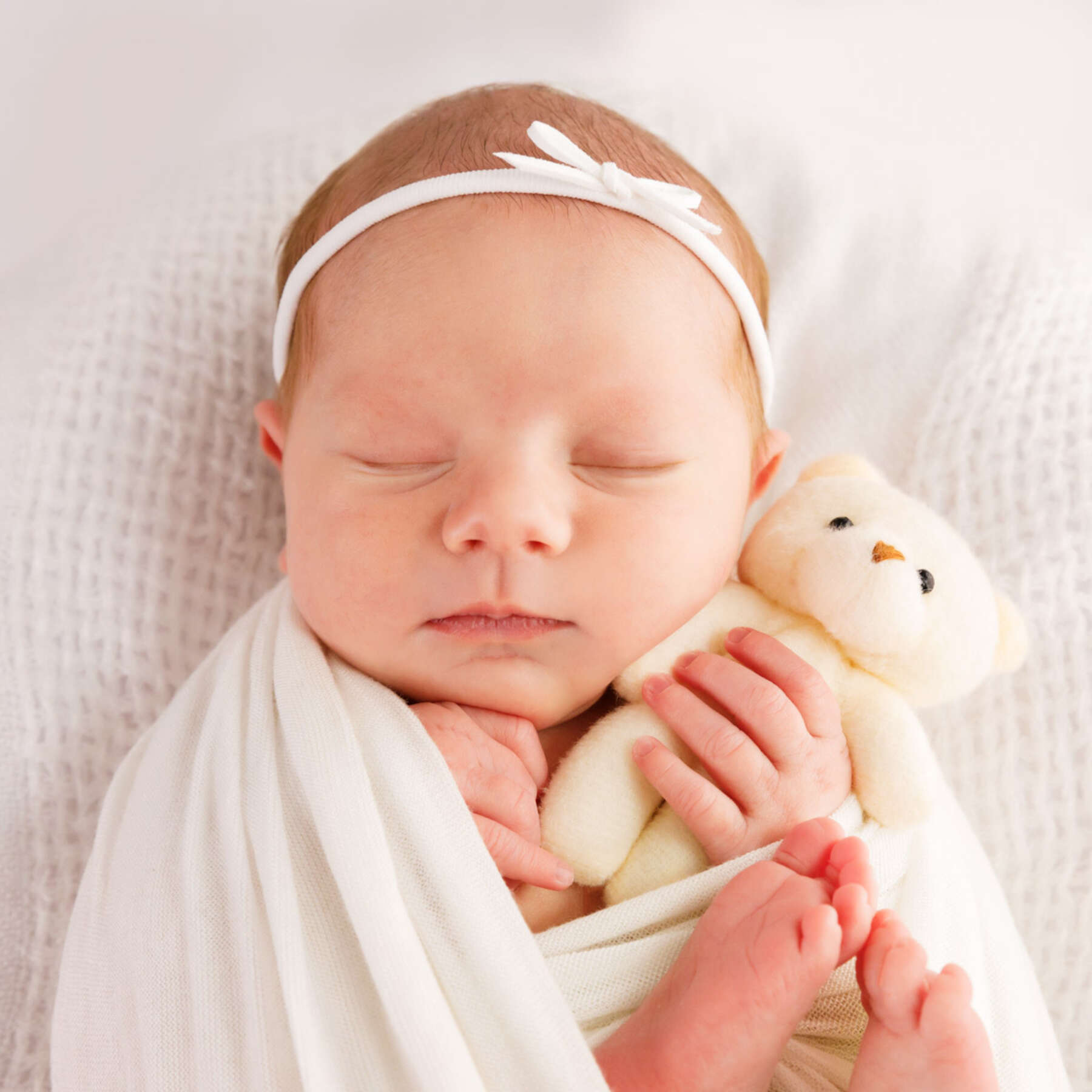 Recent newborn session in Perth