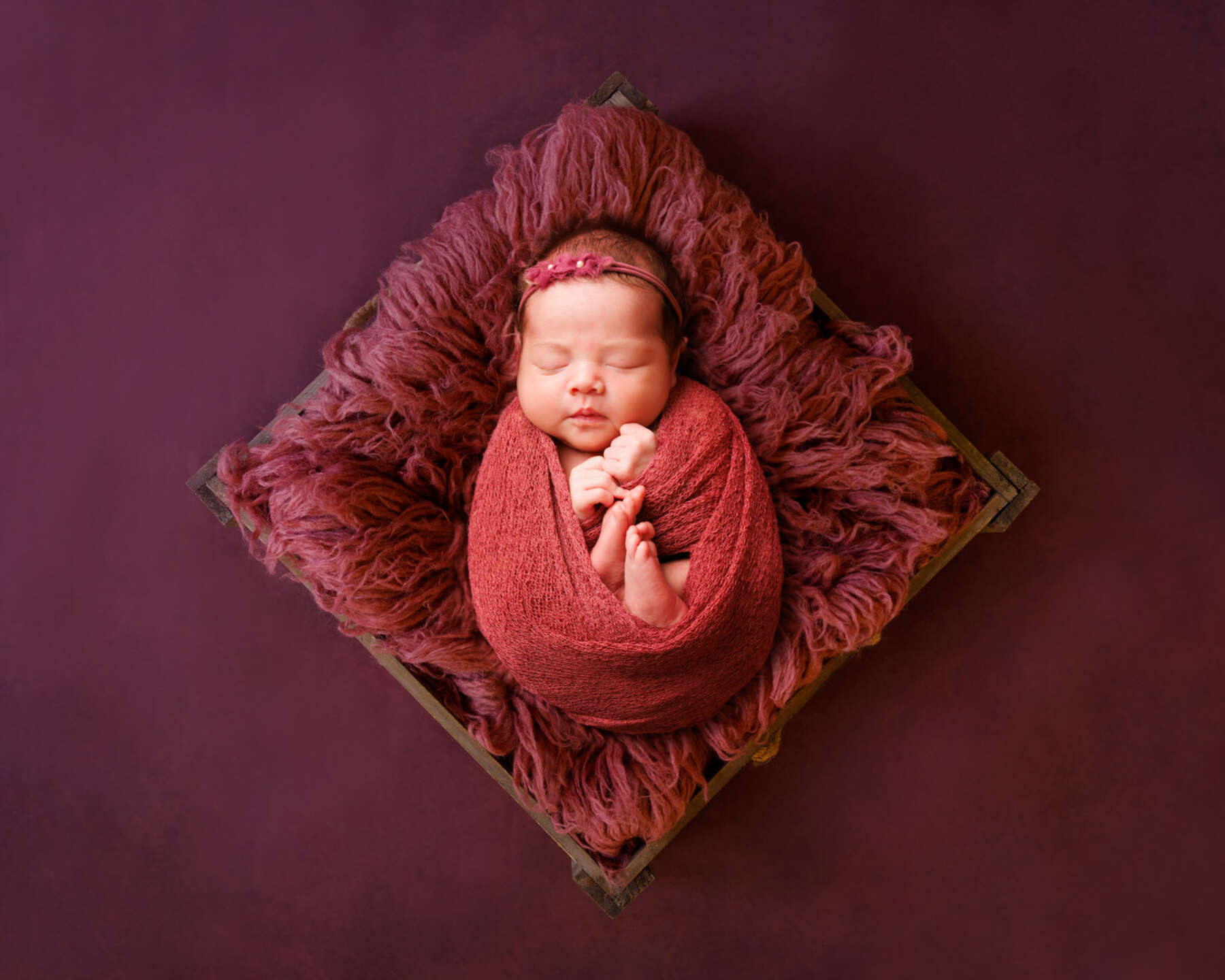 Recent newborn session in Perth