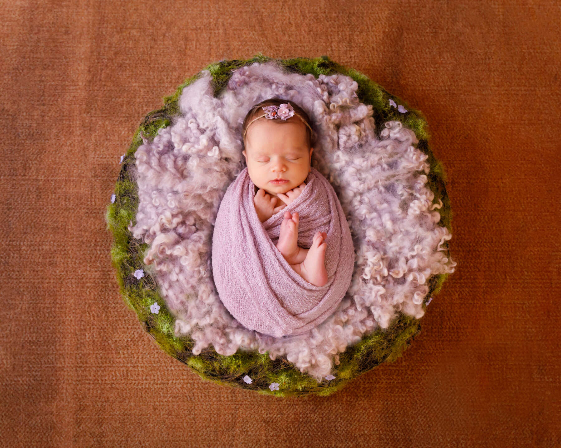 Recent newborn session in Perth