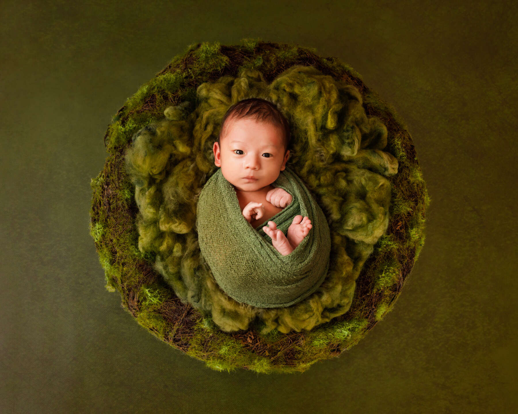 Recent newborn session in Perth