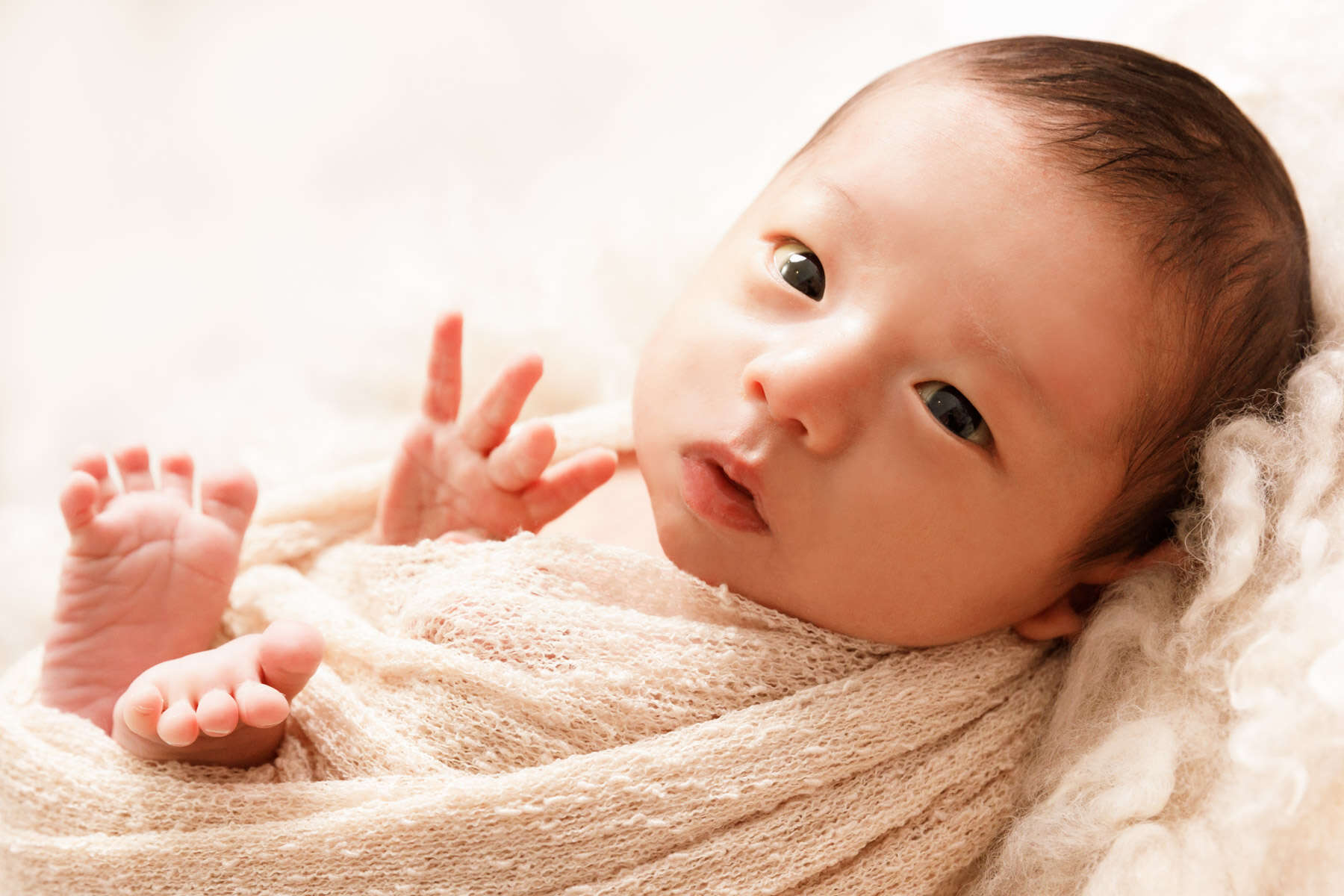 Recent newborn session in Perth