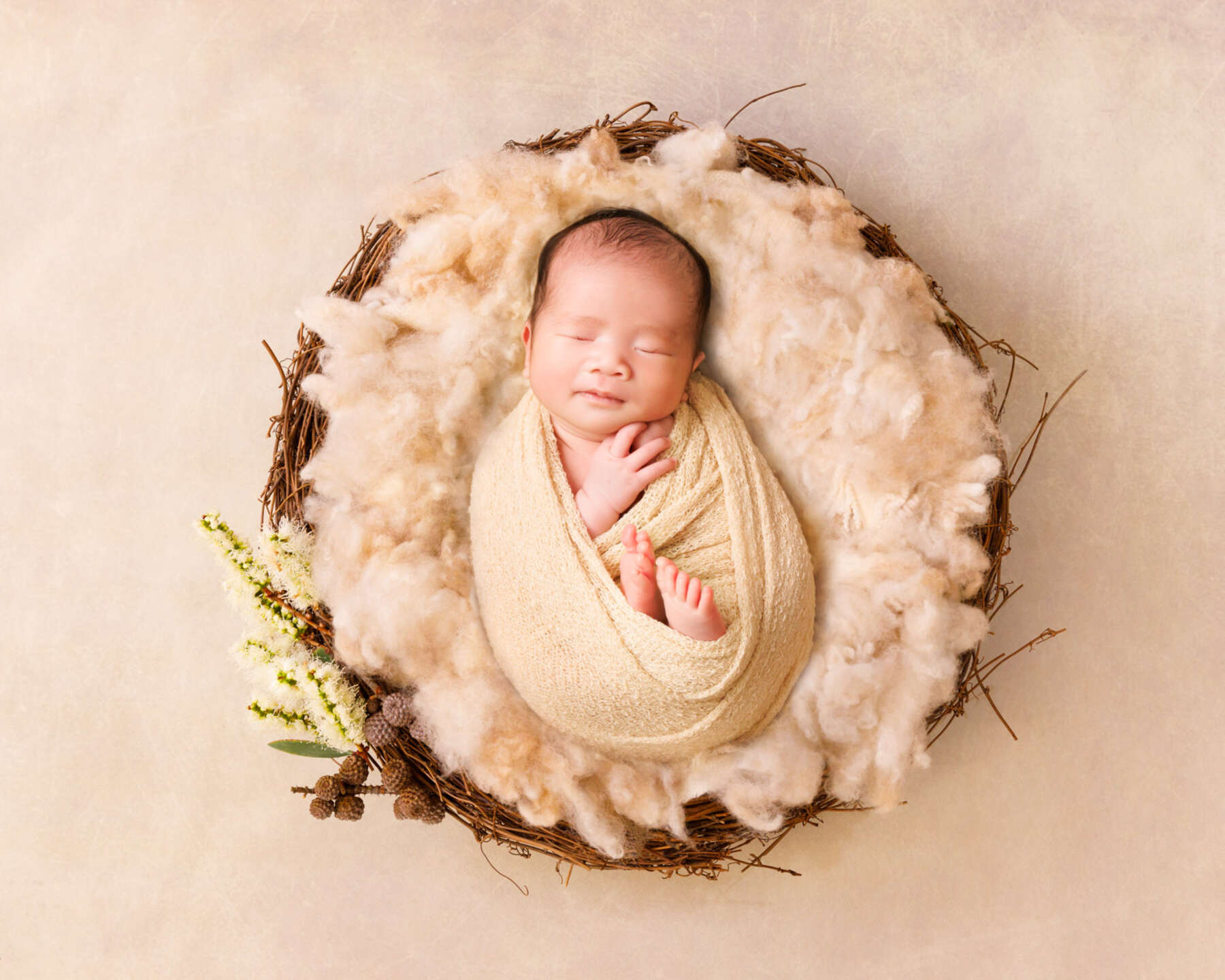 Recent newborn session in Perth