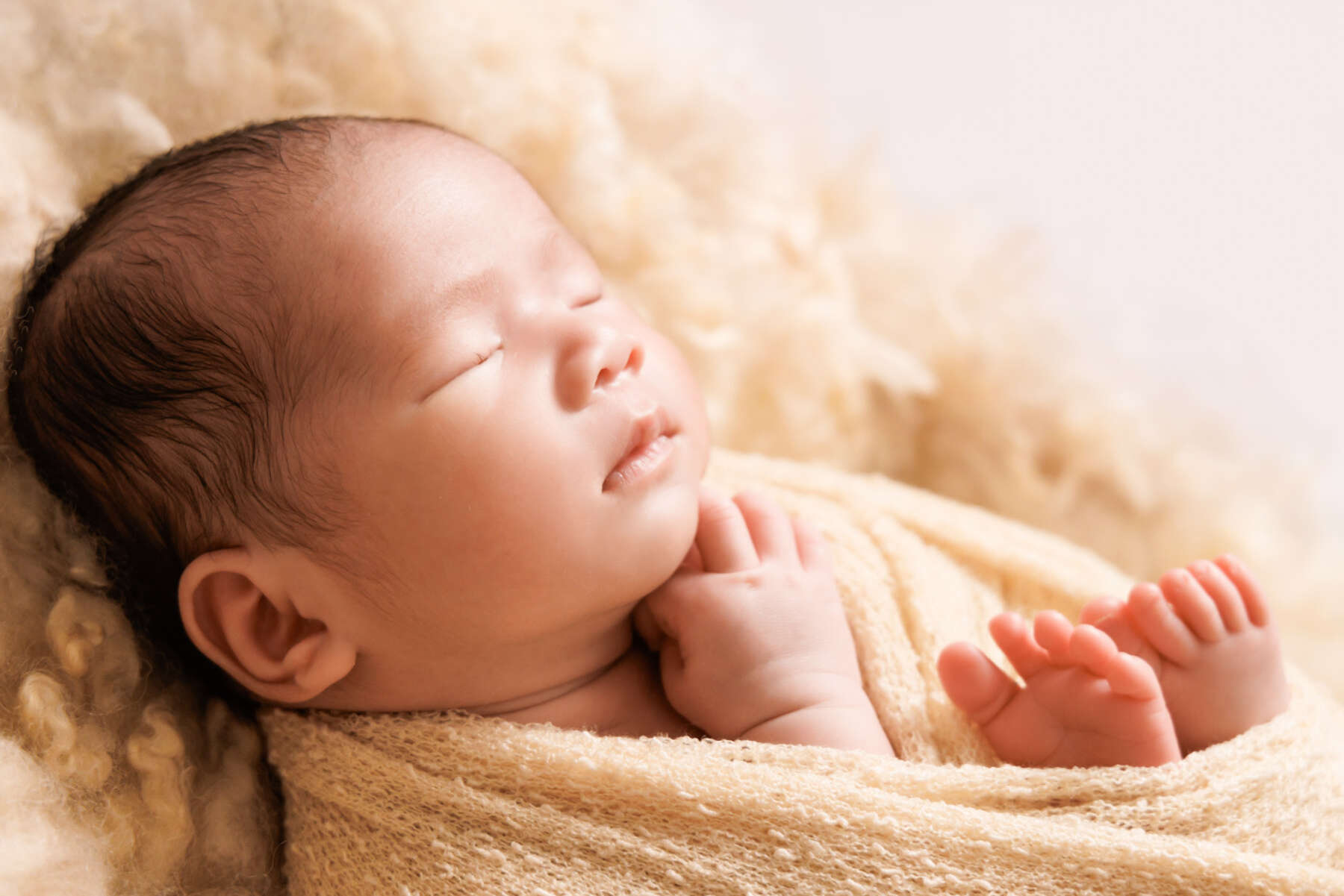 Recent newborn session in Perth