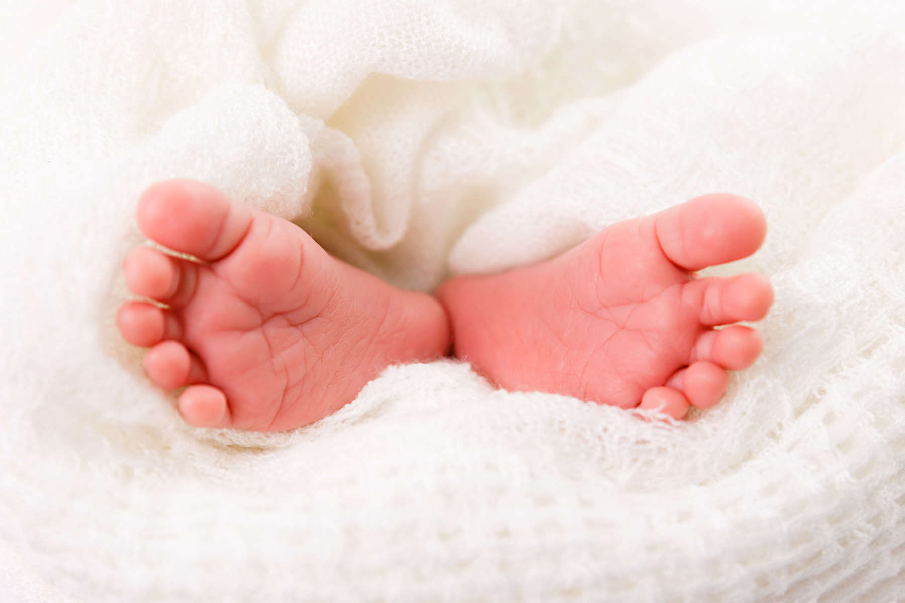 Recent newborn session in Perth