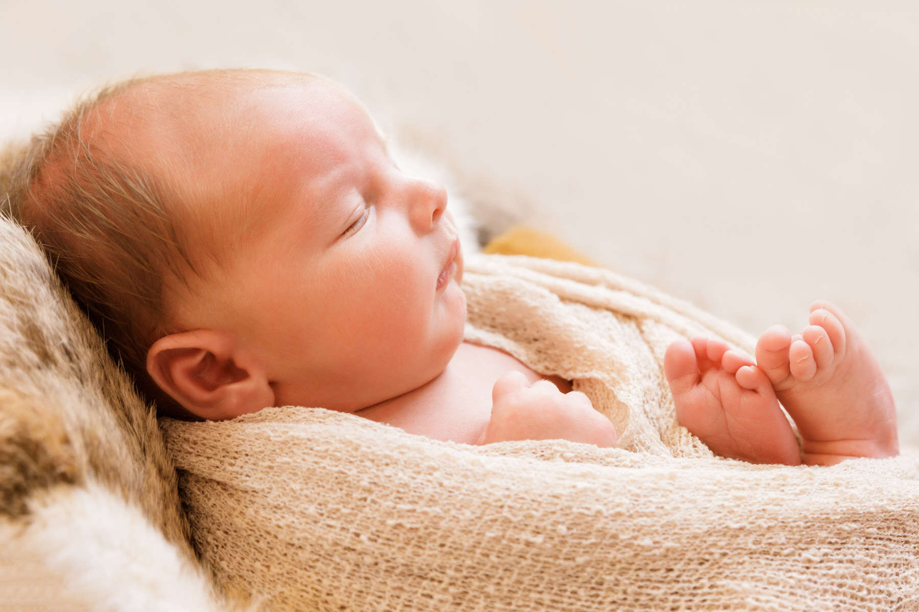 Recent newborn session in Perth