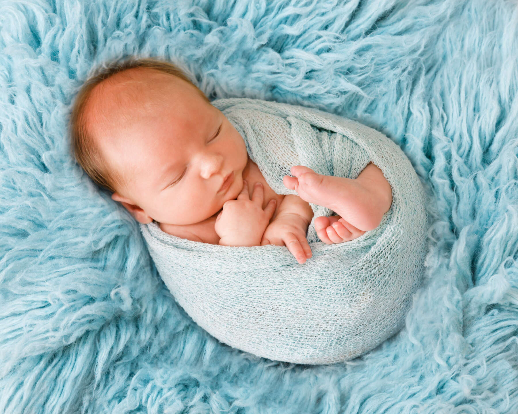 Recent newborn session in Perth