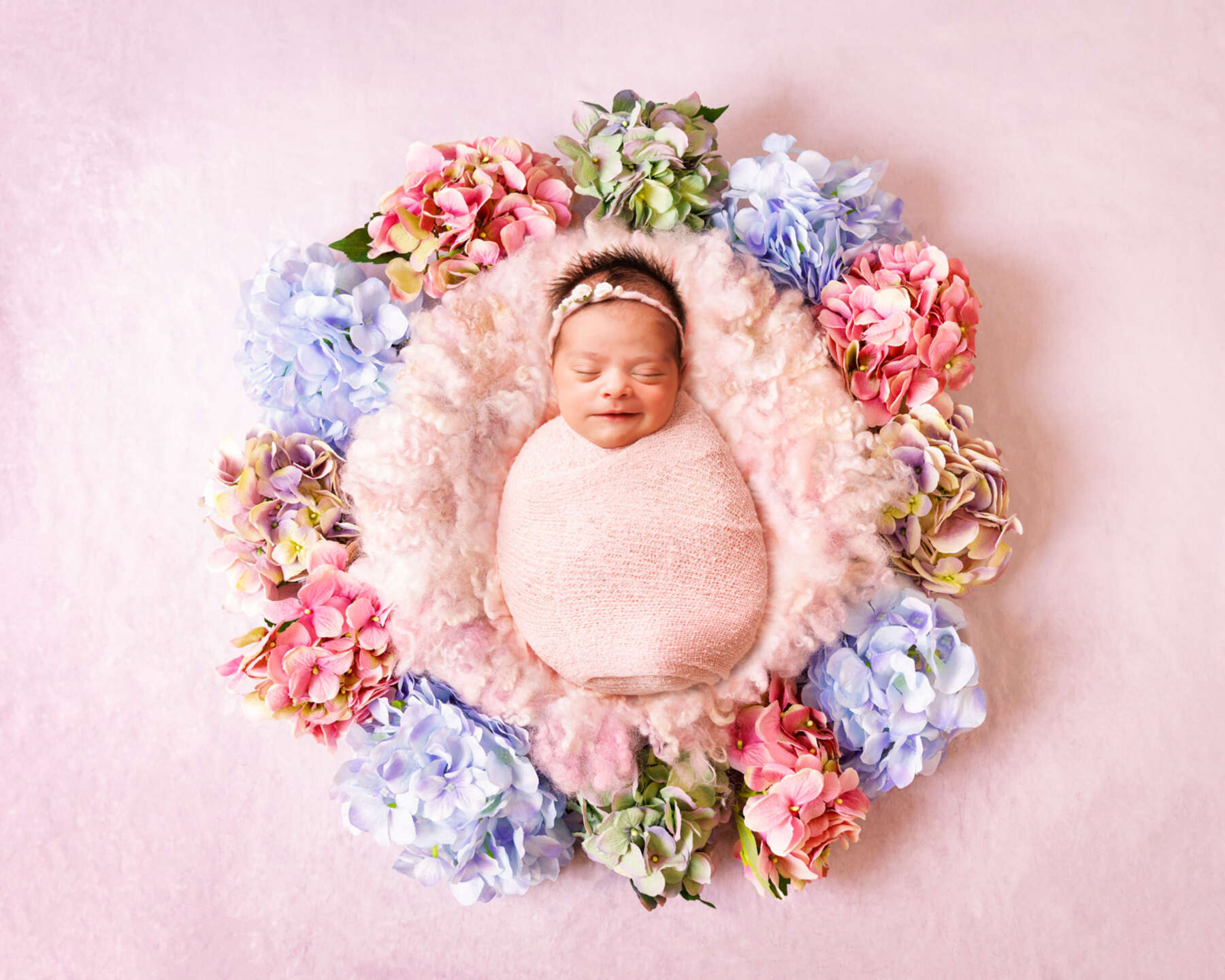 Recent newborn session in Perth