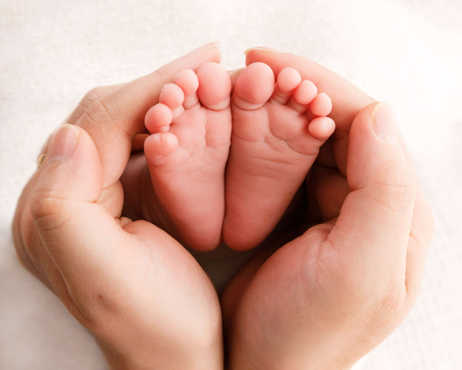 Recent newborn session in Perth