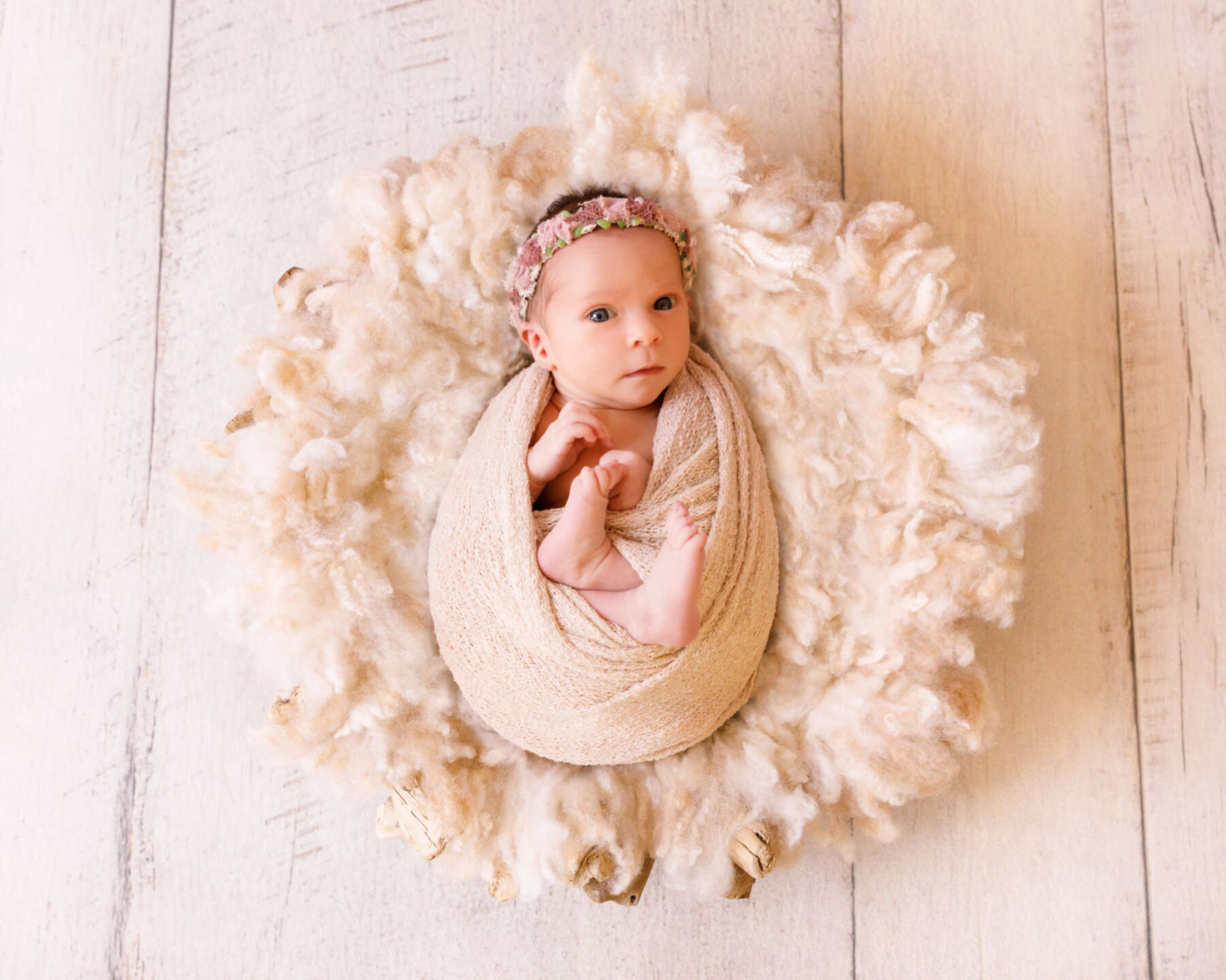 Recent newborn session in Perth