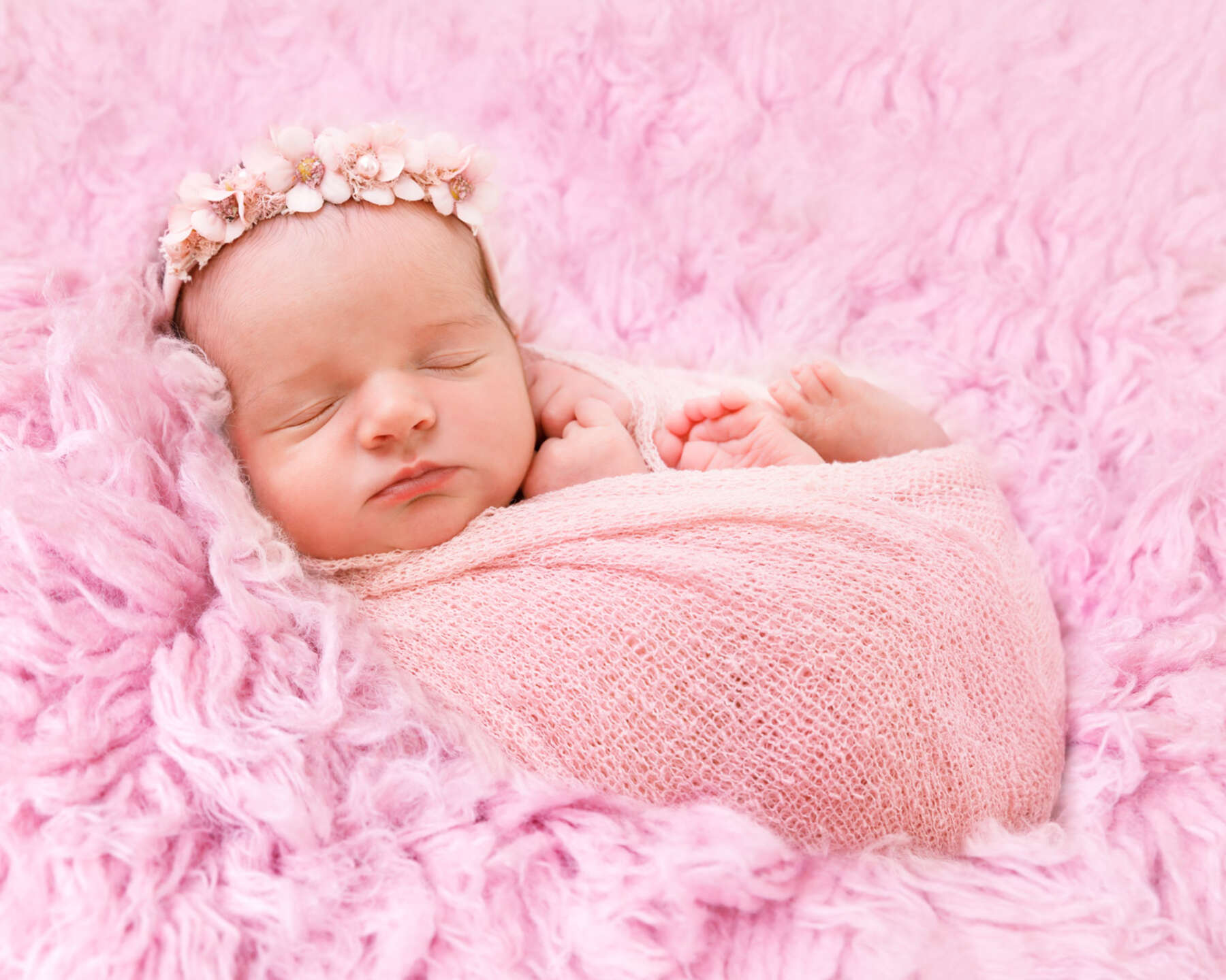 Recent newborn session in Perth