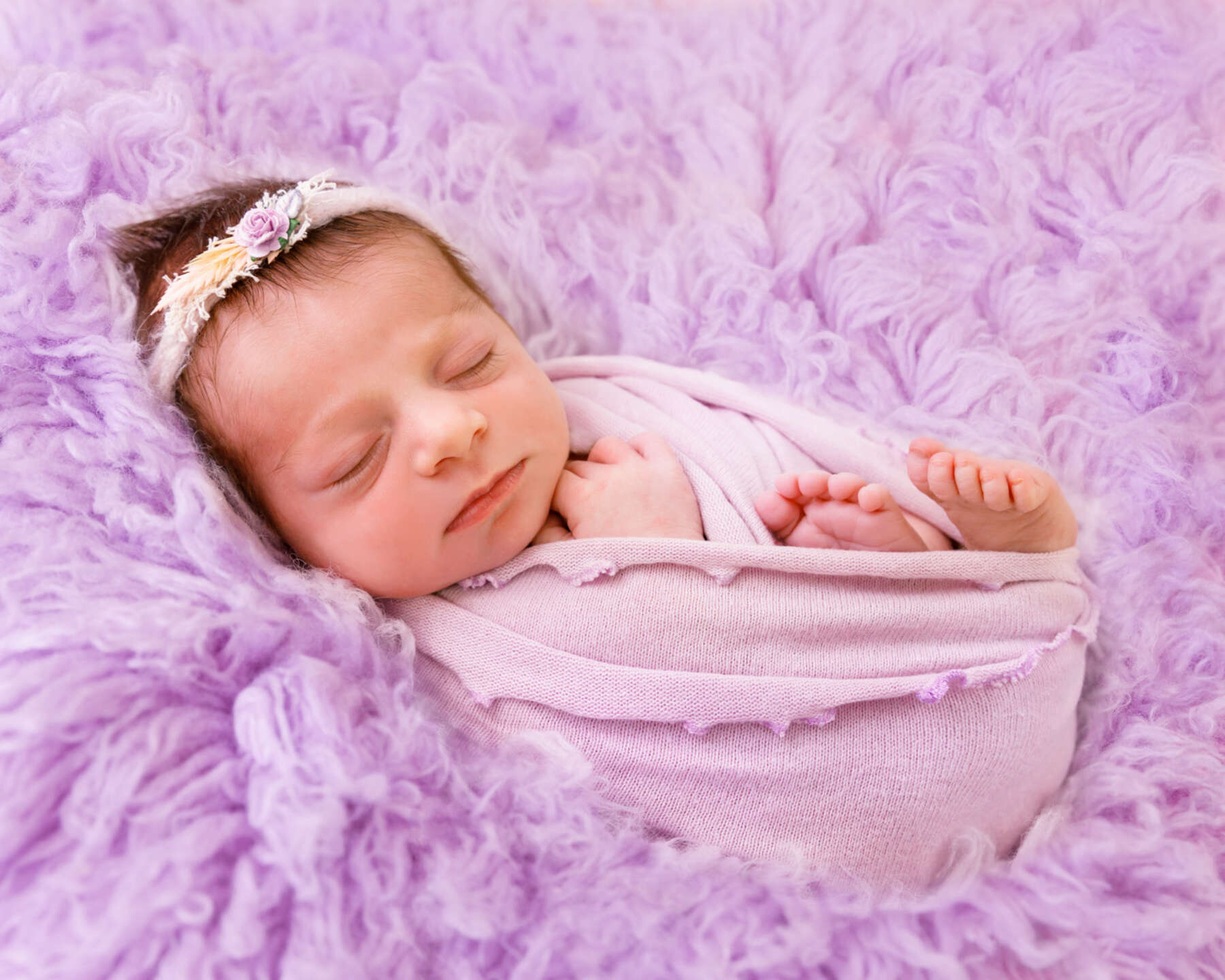 Recent newborn session in Perth