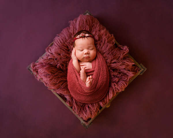 Recent newborn session in Perth