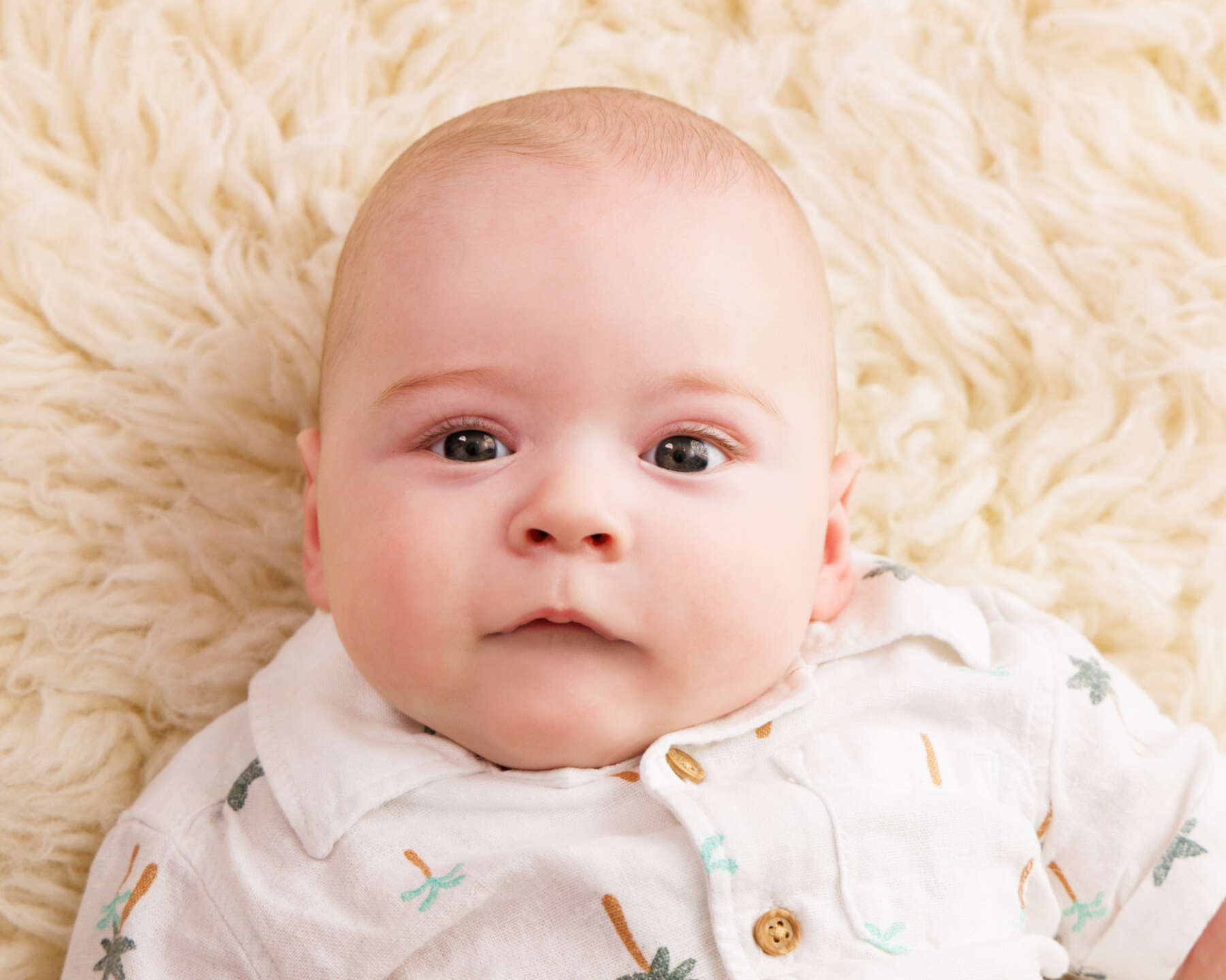 Recent baby session in Perth