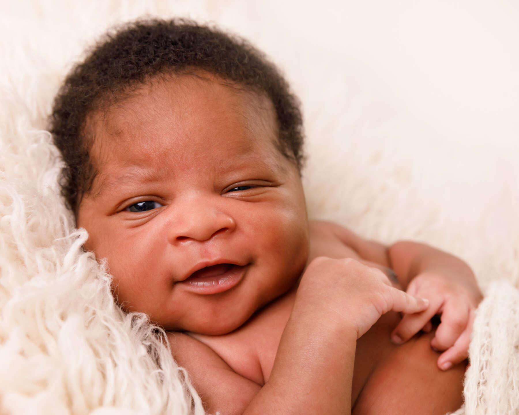 Recent newborn session in Perth