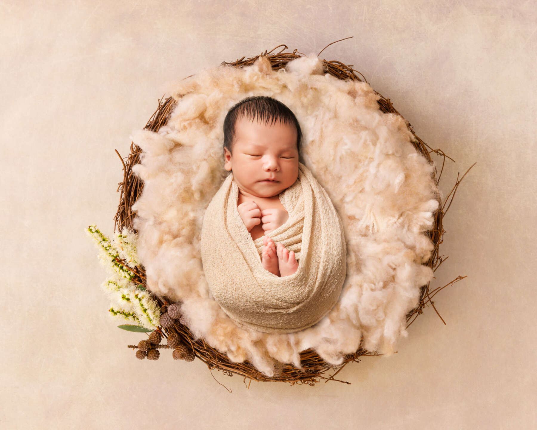 Recent newborn session in Perth