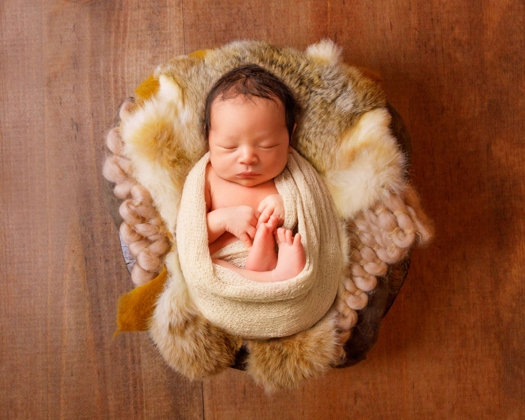 Recent newborn session in Perth