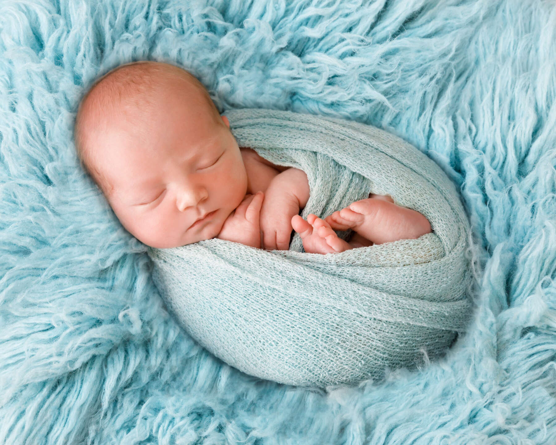 Recent newborn session in Perth