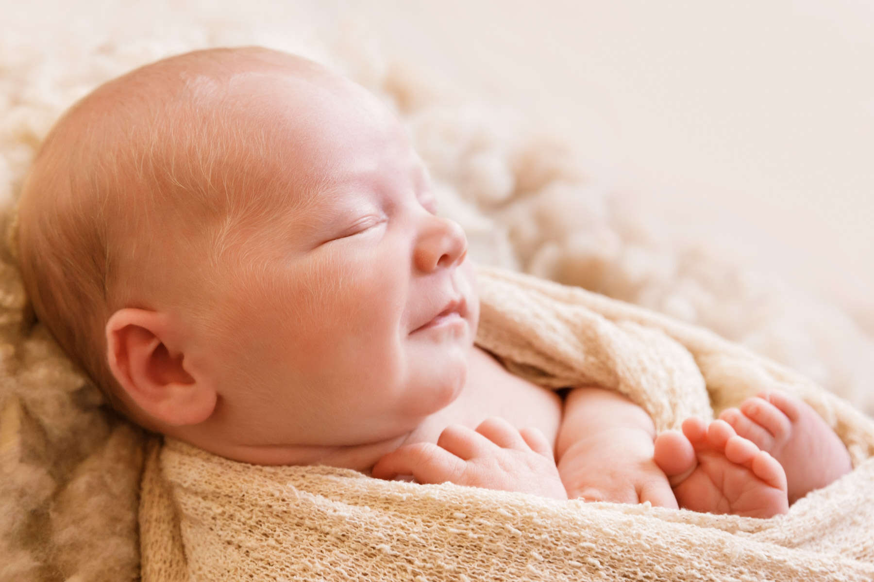 Recent newborn session in Perth