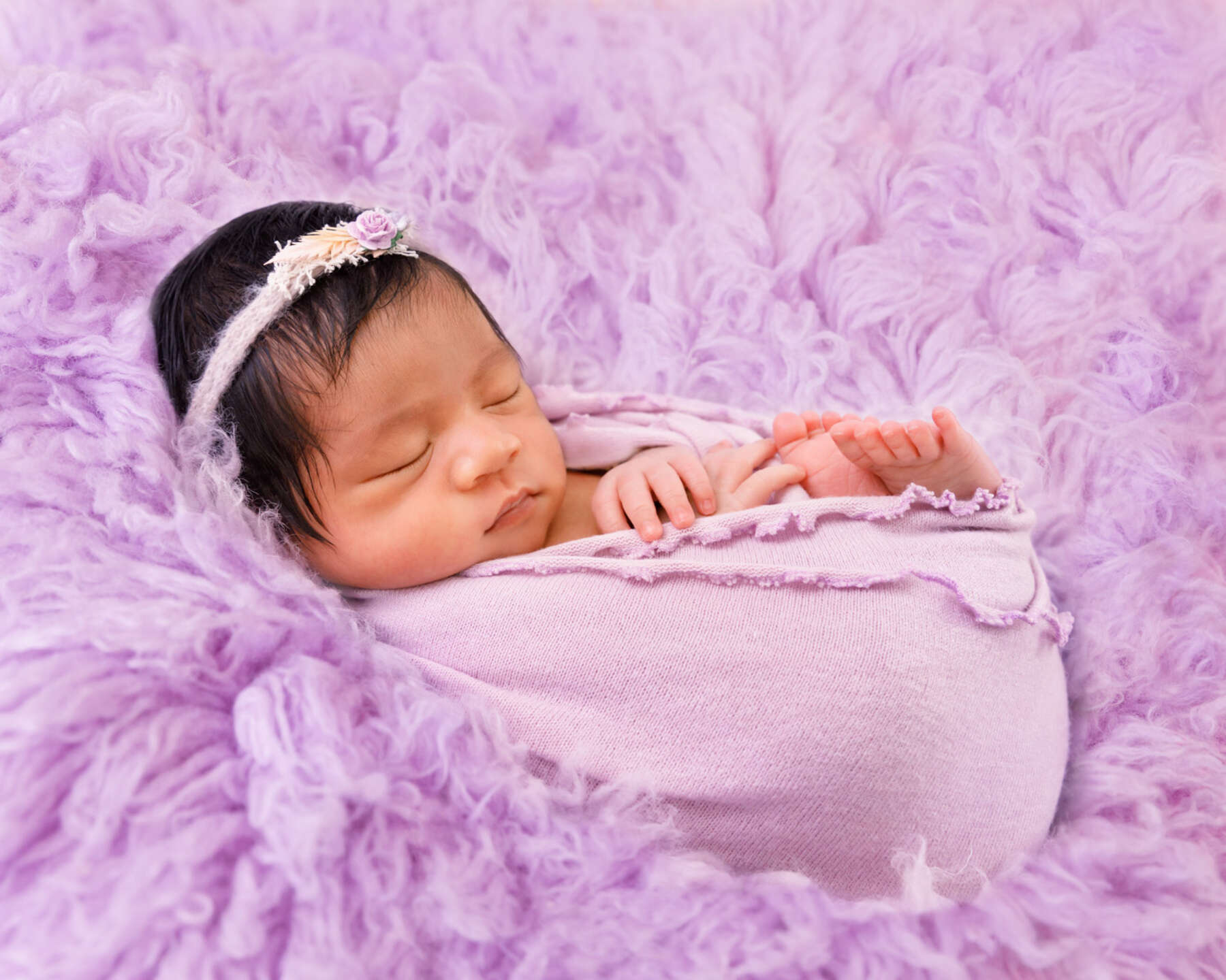 Recent newborn session in Perth