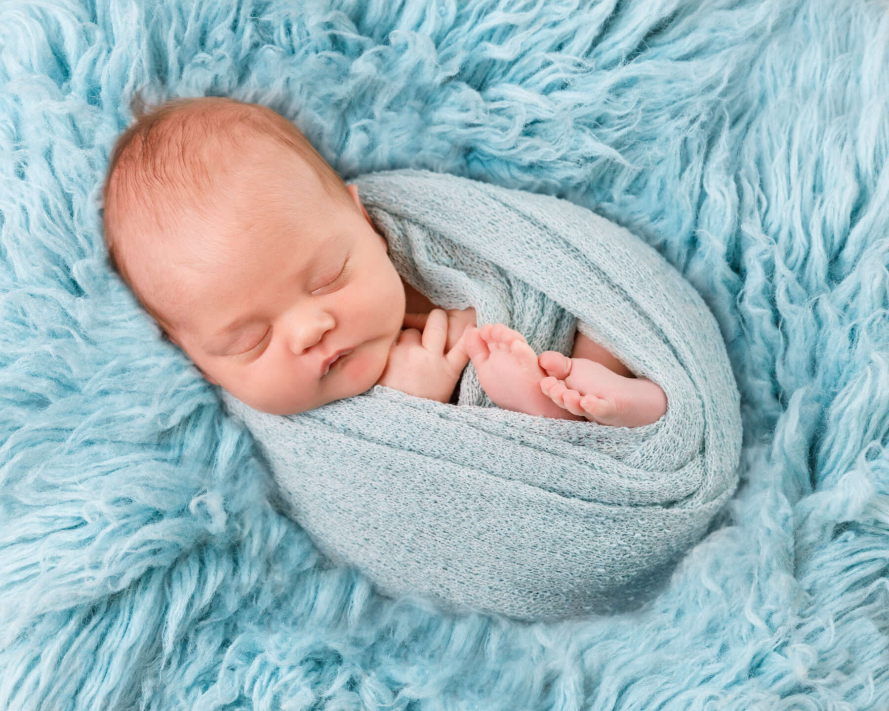 Recent newborn session in Perth