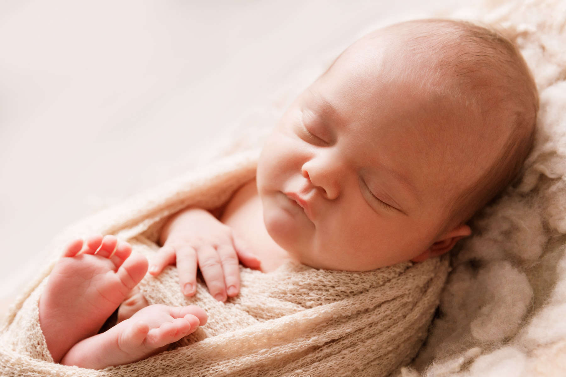 Recent newborn session in Perth